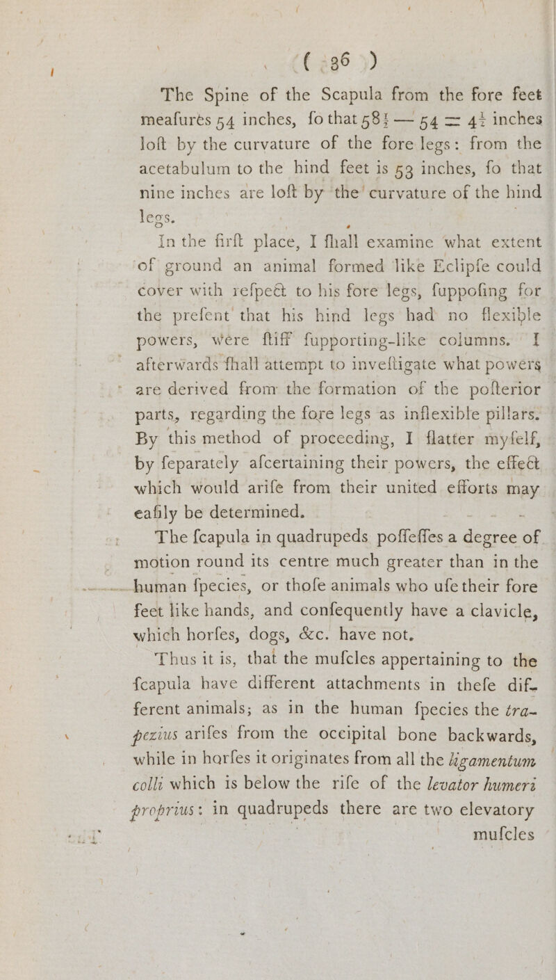. thane») The Spine of the Scapula from the fore feet meafurts 54 inches, fo that58}— 54 = 4% inches loft by the curvature of the fore legs: from the acetabulum to the hind feet is 53 inches, fo that nine inches are loft by ‘the’ curvature of the hind legs. In the firft place, I fhall examine what extent ‘of ground an animal formed like Eclipfe could cover with refpeét to his fore legs, fuppofing for the prefent that his hind legs had no flexible powers, were {tiff fupporting-like columns. ] afterwards fhall attempt to invelligate what powers are derived fronr the formation of the pofterior parts, regarding the fore legs as inflexible pillars. By this method of proceeding, I flatter myfelf, by feparately afcertaining their powers, the effeét which would arife from their united efforts may eafily be determined. The {capula in quadrupeds poffeffes a dee of _ motion round its centre much greater than in the 2 human {pecies, or thofe animals who ufetheir fore feet like hands, and confequently have a clavicle, which horfes, dogs, &amp;c. have not. Thus itis, that the mufcles appertaining to the {capula have different attachments in thefe dif- ferent animals; as in the human {pecies the tra pezius arifes from the occipital bone backwards, while in harfes it originates from all the Agamentum colli which is below the rife of the levator humeri proprius: in quadrupeds there are two elevatory mufcles