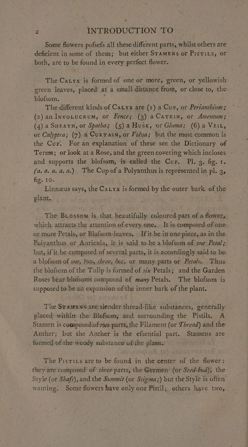 eta) {INTRODUCTION TO | Some flowers pofsefs all these different parts, whilst others are deficient in some of them; but either SrameEns or Pistixs, or both, are to be found in every perfect flower. The Caryx is formed of one or more, green, or yellowish ‘green leaves, placed at a small distance from, or close to, the- Mateo: The different kinds of Catyx are (1) a Cup, or beteaaneas (2) an InvoLucruM, or Fence; (3) a CaTKIN, or Amentum ¢ (4) a SHEATH, or Spatha; (5) a Husk, or Gluma; (6) a VEIL, - or Calyptra; (7) a Curtain, or Volva; but the most common is the Cup. Foran explanation of these see the Dictionary of Terms; or look at a Rose, and the green covering which incloses and supports the blofsom, is called the Cur. Pl. 9. fig. 1. (a. a. a. a. a.) The Cup of a Polyanthus is represented in pl. 3, fig. 10. Linnzus says, the Catyx is formed by the outer bark of the plant. The Brossom is that beautifully coloured part of a flower, which attracts the attention of every one. It is composed, of one. or more Petals, or Blofsom-leaves, If it.be in.one piece, as in the Polyanthus, or Auricula, it is said to.be a blofsom of one Petal; but, if it be composed of several parts, it 1s accordingly said to be a blofsom of one, two, bree, &amp;c. or many parts or Petals. Thus the blofsom of the Tulip is formed of six Petals: andthe Garden | Roses béar’blofsoms composed of many Petals. The blofsom is supposed to be an expansion of the inner bark of the plant. The Sramens.are slender thread-like substances, generally placed: within the Blofsom, and surrounding the Pistils. A _Stamen is composediof xwo parts, the Filament (or Thread) and the Anther; but the Anther is the efsential part. Stamens are formed of. the woody substance of the plant. : The Pistins are to be found in shabapeee of the flower: they are composed: of three parts, the Germen: (or Seed-bud),. the Style (or Shaft), and the Summit (or Stigma;) but the Style is often wanting. Some flowers have only one Pistil; others have two,