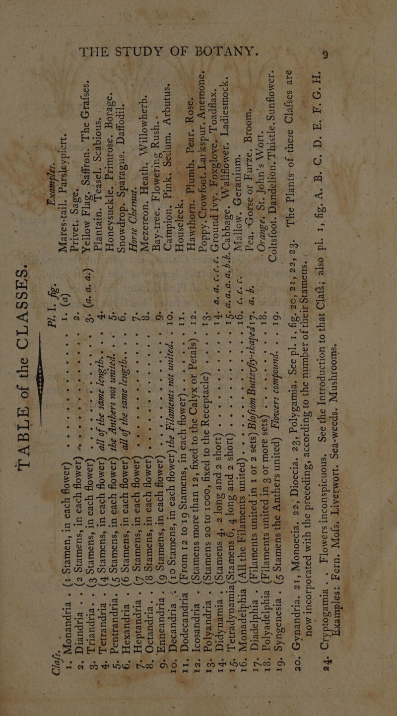 t et ‘XEYpeOT, “AAOTSXOq “AAT PUNOID *9°9'2 BD *e