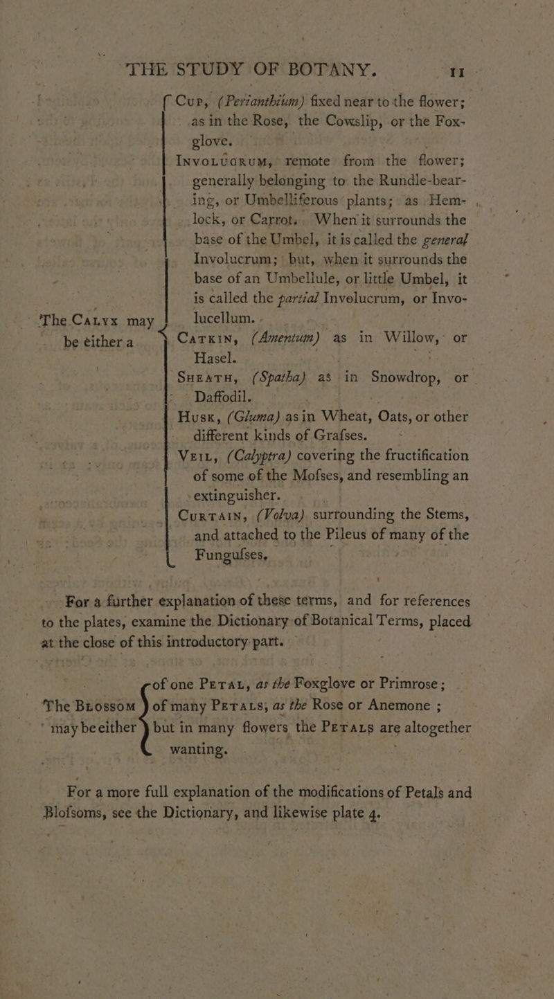 (Cur, (Pertanthium) fixed near to the flower; as in the Rose, the Cowslip, or the Fox- glove. INvoLUGRUM, remote from the flower; generally belonging to the Rundle-bear- ing, or Umbell iferous plants; as Hem- lock, or Carrots. When it surrounds the base of the Umbel, it is ‘called the general Involucrum; but, when it surrounds the base of an Umbellule, or little Umbel, it ie is called the partial Invelucrum, or Invo- The Canyx may lucellum. . é be either. a < CarKIN, (Amentum ) as in an or Hasel. 7 SHEATH, (Spatha) as in Snowdrop, or. Daffodil. Husk, (G/uma) asin Wheat, Oats, or other different kinds of Grafses. Veit, (Calyptra) covering the fructification of some of the Mofses, and resembling an extinguisher. Curtain, (Volva) surrounding the Stems, and attached to the Pileus of many of the Fungulses, _ For a further explanation of these terms, and for references to the plates, examine the Dictionary of Botanical Terms, placed at the mage of this ins heb part. of one PeTat, as the Foxglove or Primrose; The Brossom ) of many Petats, as the Rose or Anemone ; ‘may beeither } but in many flowers the PeTALs are he eae wanting. For a more full explanation of the modifications of Petals and
