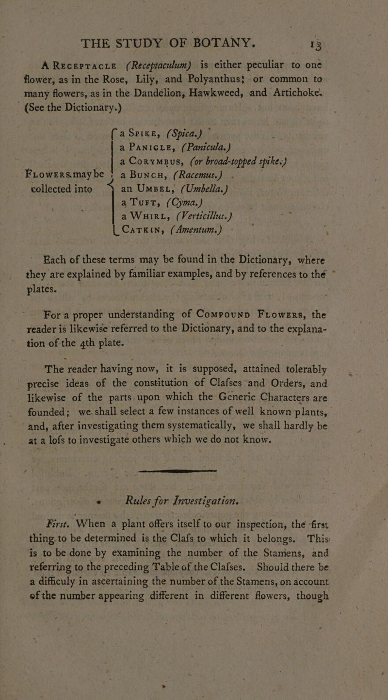 ARecerracre (Receptaculum) is either peculiar to one flower, as in the Rose, Lily, and Polyanthus} or common to many flowers, as in the Dandelion, Hawkweed, and Artichoke. - (See the Dictionary.) (aSprixe, (Spica.) a Panicie, (Panicula.) _ | a Corymeus, (or broad-topped spike.) Fiowersmaybe | a Buncn, (Racemus.) . collected into an UmseL, (Umbella.) a Turt, (Cyma.) a Wuirt, (Verticillus.) ye Carkin, (Amentum.) - — Each of these terms may be found in the Dictionary, where they are explained by familiar erat ep and by references to thé © plates. For a proper understanding of Compounp Frowers, the reader is likewise referred to the Dictionary, and to the explana- tion of the 4th plate. ‘The reader having now, it is supposed, attained tolerably precise ideas of the constitution of Clafses and Orders, and likewise of the parts upon which the Generic Characters are founded; we.shall select a few instances of well known plants, and, after investigating them systematically, we shall hardly be at a lofs to investigate others which we do not know. « © Rules for Investigation. First. When a plant offers itself to our inspection, the -first thing. to be determined is the Clafs to which it belongs. This: is to be done by examining the number of the Stamens, and referring to the preceding Table of the Clafses. Should there be a difficuly in ascertaining the number of the Stamens, on account ef the number appearing different in different flowers, though