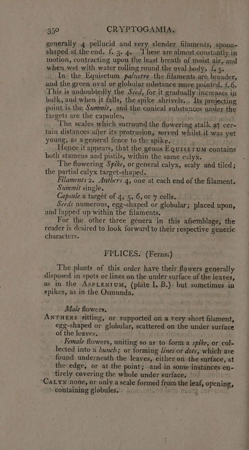 generally .4 pellucid and very. slender filaments, spoon- shaped at the end. f. 3. 4.../Lhese are almost,constantly. in motion, contracting upon the least breath of moist, air, and when wet with water rolling round the oval body. f 5. . In) the, Equisetum, palustre. the. filaments,are, broader, and the green oval or globular substance ‘more pointed. f.6. ‘This, is undoubtedly the Seed, for it. gradually increases in bulk, and when it falls, the spike .shrivels,., Its projecting point is.the Swmmit, and the conical. substances under the targets are the capsules. — asia wdietodealt abs The scales which surround the flowering stalk at cer- tain distances after its’ protrusion, served whilst,it was yet young, as ageneral fence to the spike. mauhiht aeat TW Hence it appears, that the genus EauiseTuM contains both stamens and pistils, within the same calyx. The flowering Spike, or general calyx, scaly and tiled; the partial calyx target-shaped. Filaments 2. Anthers 4, one at each end of the filament, Summit single. | em Capsule a target of 4, 5, 6, or 7 cells.. ' _ Seeds numerous, egg-shaped or globular; placed upon, and lapped up within the filaments. | For the other three génera in this afsemblage, the reader is desired to look forward to their respective generic characters. oy FI'LICES. (Ferns:) . The plants of this order have their flowers generally _ disposed in spots or lines on the under surface of the leaves, as in the AspLEeNiuM, (plate I. B.). but sometimes in spikes, as in the Osmunda. ' _ Male flowers. | . ANTHERS sitting, or supported on a very short filament, egg-shaped or globular, scattered on the under surface of the leaves. ata Female flowers, uniting so as’ to form a spike, or col- lected into a bunch; or forming /ines or dots, which are ‘found underneath the leaves,. either onthe surface, at the edge, or -at the point; .and.in some instances en- _ tirely covering the whole under surfaces 6 > “CaLyx none, or only.a scale formed from the leaf, opening, _ tet¢ontaining globulesis bis.<otlodtsevo mesip idtom