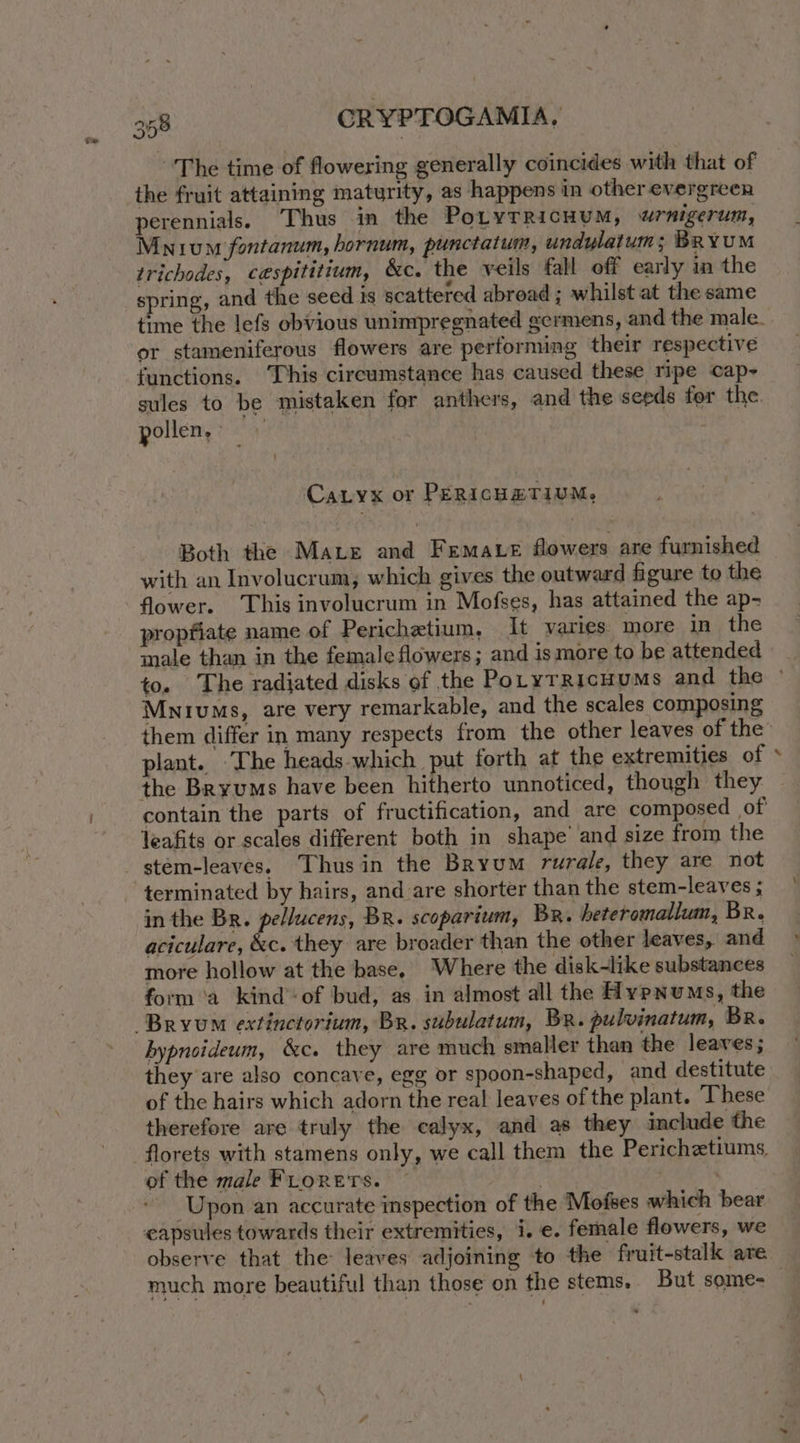 ~The time of flowering generally coincides with that of perennials. Thus in the Potyrricuum, urnigerunt, Mnivum fontanum, hornum, punctatum, undylatum; BRYUM trichodes, cespititium, &amp;c. the veils fall off early in the spring, and the seed is scattered abroad ; whilst at the same time the lefs obvious unimpregnated germens, and the male. or stameniferous flowers are performing their respective functions. ‘This circumstance has caused these ripe cap- sules to be mistaken for anthers, and the seeds for the pollen, Catyx or PERICHETIUM, Both the Mare and Femate flowers are furnished with an Involucrum, which gives the outward figure to the flower. This involucrum in Mofses, has attained the ap- propfiate name of Perichetium, It varies. more in the male than in the female flowers; and is more to be attended to. The radiated disks of the PotytTRicHumMs and the © Mnivums, are very remarkable, and the scales composing them differ in many respects from the other leaves of the plant. The heads which put forth at the extremities of the Bryums have been hitherto unnoticed, though they contain the parts of fructification, and are composed of leafits or scales different both in shape’ and size from the stém-leaves. Thus in the Bryum rurale, they are not terminated by hairs, and are shorter than the stem-leaves ; in the Br. pellucens, BR. scoparium, Br. heteromallum, Br. aciculare, &amp;c. they are broader than the other leaves, and more hollow at the base, Where the disk-like substances form ‘a kindof bud, as in almost all the Hypnums, the hypnoideum, &amp;c. they are much smaller than the leaves; they are also concave, egg or spoon-shaped, and destitute of the hairs which adorn the real leaves of the plant. These therefore are truly the calyx, and as they include the florets with stamens only, we call them the Perichetiums. of the male FLorets. | . Upon an accurate inspection of the Mofses which bear observe that the leaves adjoining to the fruit-stalk are much more beautiful than those on the stems. But some- |