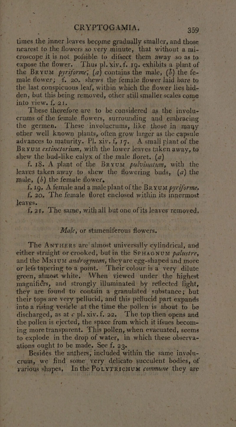 times ree inner ene become gradually smaller, and those nearest to the flowers so very minute, that without a Tai- croscope it is not pofsible te difsect them away +o as to expose the flower. Thus pl. xiv. f, 1g. exhibits a plant of the Bryum pyriforme; (a) contains the male, (4). the fe- male flower; f. 20. shews the female flower laid bare to the last conspicuous leaf, within which the flower lies hid- den, but this being removed, other still smaller scales come into view. f, 21. These therefore are to be considered ag the involu- crums of the female flowers, surrounding and embracing the germen, ‘hese ‘involucrums, like those in many ether well known plants, often grow larger as the capsule advances to maturity. Pl. xiy. f, 17. A small plant of the Bryum extinctorium, with the lower leaves taken away, to -shew the bud-like calyx of the male floret. (a) f. 18. A plant of the Bryum pulvinatum, with the _ leaves taken away to, shew the flowering buds, (a) the male, (4) the female flower, f, 19, A female and a male plant of the Bryum pyriforme. f, 20, The female floret enclosed within its innermost ~ jeaves. ‘fp.2%- 41 be same, with all but one of} its fe nie TeBOVad, ‘Male, or stameniferous How eta! The AnTHERs are’ almost universally cylindrical, and either straight or crooked, but in the SPHaGNumM palustre, and the Mnium androgynum, they are egg-shaped and more green, almost white. When viewed under the highest magnifi¢rs, and strongly illuminated by reflected light, they are found to contain a granulated substance ; “put their tops are very pellucid, and this pellucid part expands into a rising vesicle at the time the pollen is about to be discharged, as at ¢ pl. xiv.f. 22, ‘The top then opens and the pollen is ejected, the space from which it ifsues becom- _ing more transparent. This pollen, when evacuated, seems to explode in the drop of water, in which these observa~ ations ought to be made. See f. 23. Besides. the anthers, included within the same involu- - cruin, we find some very delicate succulent bodies, of _ yarious shapes, Inthe PoLyTrRichum commune they are ‘