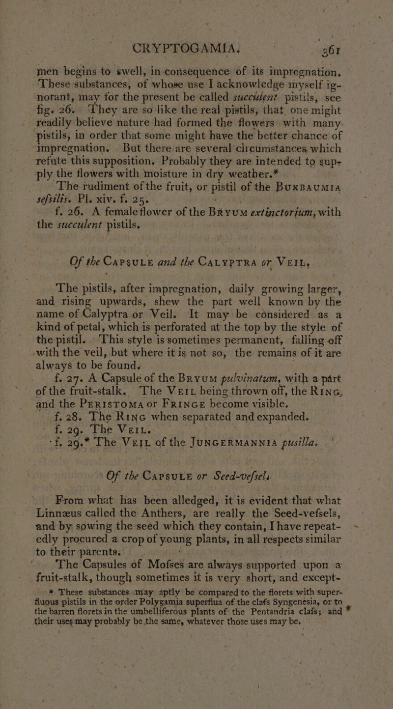men begins to swell, in-consequence of its impregnation, These substances, of whose use I acknowledge myself ig- norant, may for the present be called seccudent pistils, see fig. 26. ‘Vhey are so like the real pistils, that, one might readily believe nature had formed the flowers with many pistils, in order that some might have the better chance of ‘impregnation. But there are several circumstances which refute this supposition. Probably they are intended to sup: ply the flowers with moisture in dry weather.* | The rudiment of the fruit, or Sat of the sd nao sefsilis. Pl. xiv. f. 25. f. 26. A female flower of the Bayon uxt bacterdimn: with the sereceglent pistils. Of the CaPsuLe and the CALYPTRA or VEIL, The pistils, after impregnation, daily growing larger, and rising upwards, shew the part well known by the name of Calyptra or Veil. It may be considered as a kind of petal, which is perforated at the top by the style of the pistil. ‘This style is sometimes permanent, falling off ‘with the veil, but where it is not so, the remains of it are always to be found: f. 27. A Capsule of the Bryum pulvinatum, with a part and the Perrsroma or FRINGE become visible. f, 28. The Rine when separated and expanded. f. 29. The Veit. -f, 29. The Vert of the JUNGERMANNIA pusilla. - » OF the CapsuLe or Sebubsobtict From what has been alledged, it is evident that what Linnzus called the Anthers, are really the Seed-vefsels, and by sowing the seed which they contain, I have repeat- edly procured a crop of Lier plants, in all respects similar to their parents. The Capsules of Mofses are always supported upon a fruit-stalk, though sometimes it is very short, and except- * These substances may aptly be compared to the florets with super- fluous pistils in the order Polygamia superfiua of the clafs Syngenesia, or to the barren florets in the umbelliferous plants of the Pentandria clafs; and * their uses may probably be the same, whatever those uses may be,