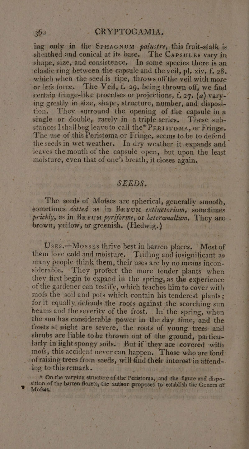 ing only in the SpHacGnum palustre, this fruit-stalk is sheathed and conical at its base. The Capsu es vary in shape, size, and consistence. In some species there is an elastic ring between the capsule and the veil, pl. xiv, f. 28. which when the seed is ripe, throws off the veil with more or lefs forces The Veil, f. 29, being thrown off, we find certain fringe-like procefses or projections, f. 27. (a) vary- ing greatly in size, shape, structure, number, and disposi- tion. They surround the opening of the capsule in a single er double, rarely in a triple series, These sub- stances Ishallbeg leave to call the* PERI sToMA, or Fringe. The use of this Peristoma or Fringe, seems to be to defend _ the seeds in wet weather. In dry weather it. expands and Jeaves the mouth of the capsule open, but upon the least moisture, even that of one’s breath, it closes again. - SEEDS. The seeds of Mofses are spherical, generally smooth, sometimes dotted as in Bryum extinetorium; sometimes brown, yellow, ar greenish. (Hedwig.) Usses.—Mosses thrive best in barren places. Most of them love cold and moisture. Tyifling and insignificant as many people think them, their uses are by no means incon- siderable, -They protect the more tender plants when they first begin to expand in the spring, as the experience of the gardener can testify, which teaches him te cover with mofs the soil and pots which contain his tenderest plants ; for it equally, defends the roots against the scorching sun beams and the severity of the frost. _ In‘ the spring, when the sun has considerable power in the day time; and the frosts at might are severe, the roots of young trees: and shrubs are liable tobe thrown out of the ground, particu- larly in light spongy soils. But if they are covered «with ing to thisremark. * On the varying structure of the Peristoma, ‘and the figure and dispo- sition of the barren florets, tlie auther proposes to establish the Genera of of raising trees from seeds » willfind their interest in attend-- 4 : ee ee