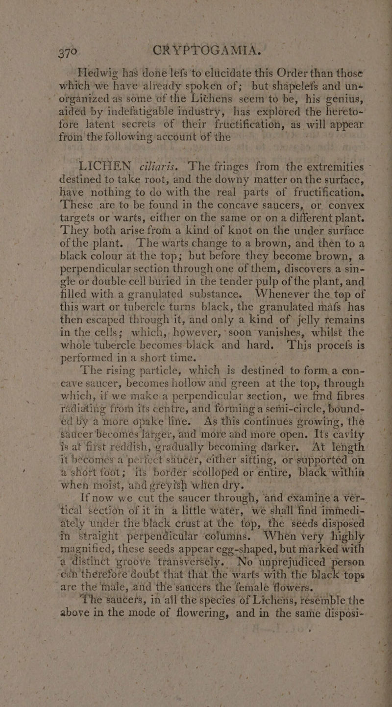 Hictwis has done lefs to elticidate this Order than those which we have aliéady spoken of; but shapelefs and un+ aided by indefatigable industry, has explored the hereto- fore latent secrets of their fruetification, ¢ as wil appear frdin the following accouitt of the : destined to take root, and the downy matter on the surface, have nothing to do with the. real parts of fructification. - These are to be found in the concave saucers, or convex targets or warts, either on the same or ona different plant. They both arise from a kind of knot on the under surface ofthe plant. The warts change to a brown, and then to a black colour at the top; but before they become brown, a perpendicular section through one of them, discovers a sin- gle or double cell buried in the tender pulp of the plant, and filled with a granulated substance. Whenever the top of this wart or tubercle turns black, the granulated mafs has then escaped through it, and only a kind of jelly remains in the cells; w iil however soon vanishes, whilst the _ whole tubercle becomes-black and hard. This procels 1 is - performed in a short time. The rising particle, which is destined to form,a con- cave saucer, becomes hollow and green at the top, through which, if we make a perpendicular section, we fmd fibres radiating from its centre, and forming a semi-circle, ‘bound- ed by a more opake line. As this continues growing, the saticer becomes ‘larger, and more and more open. Its cavity is at first reddish, gradually becoming darker, At length it becomes a pél fect saucer, either sitting, or supported on when moist, and greyish when dry. If now we cut the saucer through, ‘and examine a vér- ately under the black crust at the top, the seeds disposed in straight perpendicular ‘columns. When very highly a ‘distinct groove transversely. No unprejudiced person aiiheretore doubt that that the warts with the ack ‘are the finale, and the saucers the female flowers. _ The saucers, in ail the species of Lichens, resemble the above in the mode of flowering, and in the same disposi+