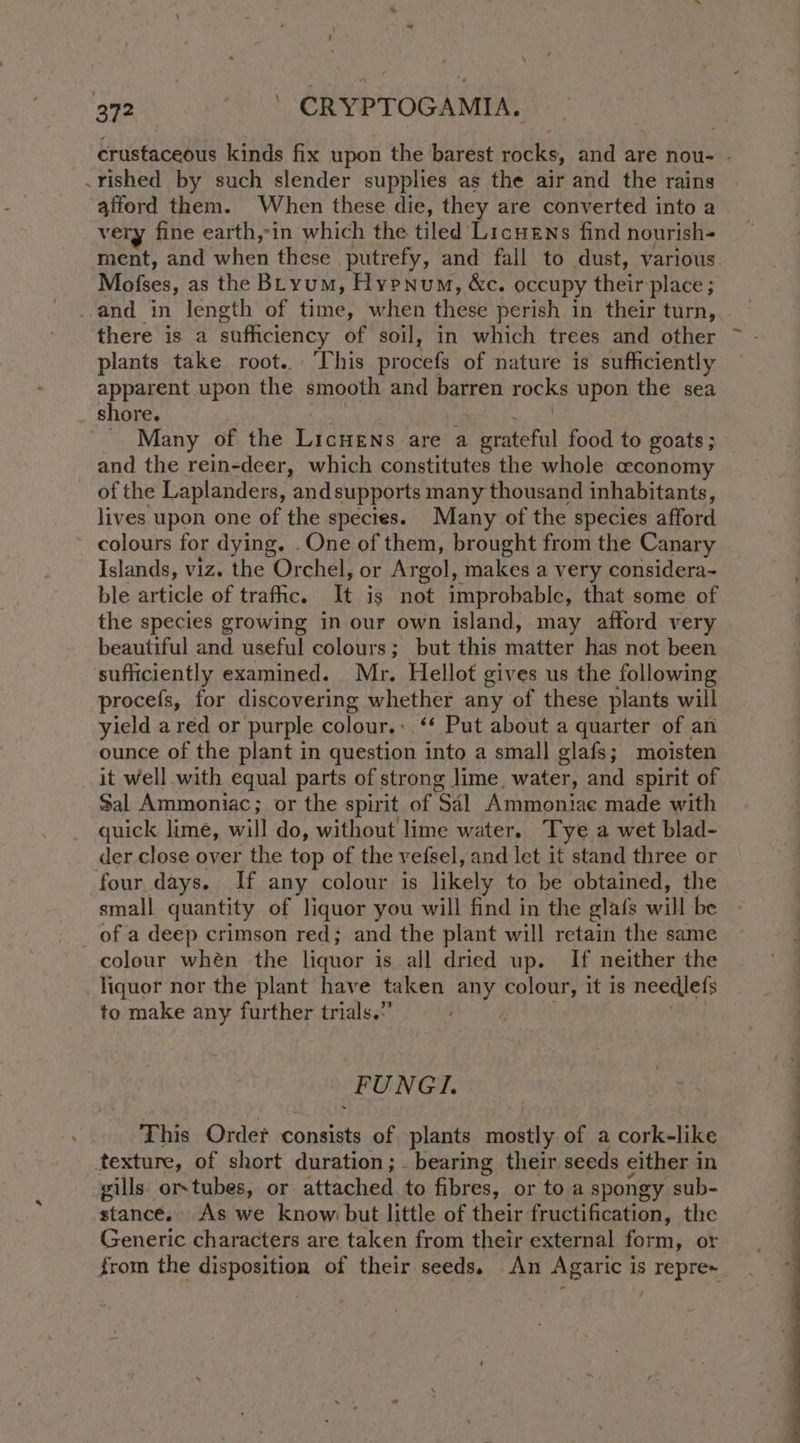 crustaceous kinds fix upon the barest rocks, and are nou- - .rished by such slender supplies as the air and the rains afferd them. When these die, they are converted into a very fine earth,-in which the tiled Licuens find nourish ment, and ‘when these. putrefy, and fall to dust, various Mofses, as the Biyum, Hypnum, &amp;c. occupy their place ; and in length of time, when these perish in their turn, there is a sufficiency of soil, in which trees and other plants take root. This procefs of nature is sufficiently apparent upon the smooth and barren rocks upon the sea shore. ' Many of the Licnens. are a corateFul food to goats ; and the rein-deer, which constitutes the whole ceconomy of the Laplanders, and supports many thousand inhabitants, lives upon one of the species. Many of the species afford colours for dying. .One of them, brought from the Canary Islands, viz. the Orchel, or Argol, makes a very considera~ ble article of traffic. It is not improbable, that some of the species growing in our own island, may afford very beautiful and useful colours; but this matter has not been sufficiently examined. Mr. Hellot gives us the following procefs, for discovering whether any of these plants will yield a red or purple colour.:.‘* Put about a quarter of an ounce of the plant in question into a smal] glafs; moisten it well with equal parts of strong lime, water, and spirit of Sal Ammoniac; or the spirit of Sal Ammoniae made with quick lime, will do, without lime water. ‘Tye a wet blad- der close over the top of the vefsel, and let it stand three or four days. If any colour is likely to be obtained, the small quantity of liquor you will find in the glafs will be _ of a deep crimson red; and the plant will retain the same colour whén the liquor is all dried up. If neither the liquor nor the plant have taken any colour, it is needlets to make any further trials.” Safer PUNGI. This Order consists of plants aes of a cork-like texture, of short duration; bearing their seeds either i in wills orstubes, or attached to fibres, or to a spongy sub- stance. As we know but little of their Fechiuation, the Generic characters are taken from their external form, or from the disposition of their seeds. An Agaric is repre~_