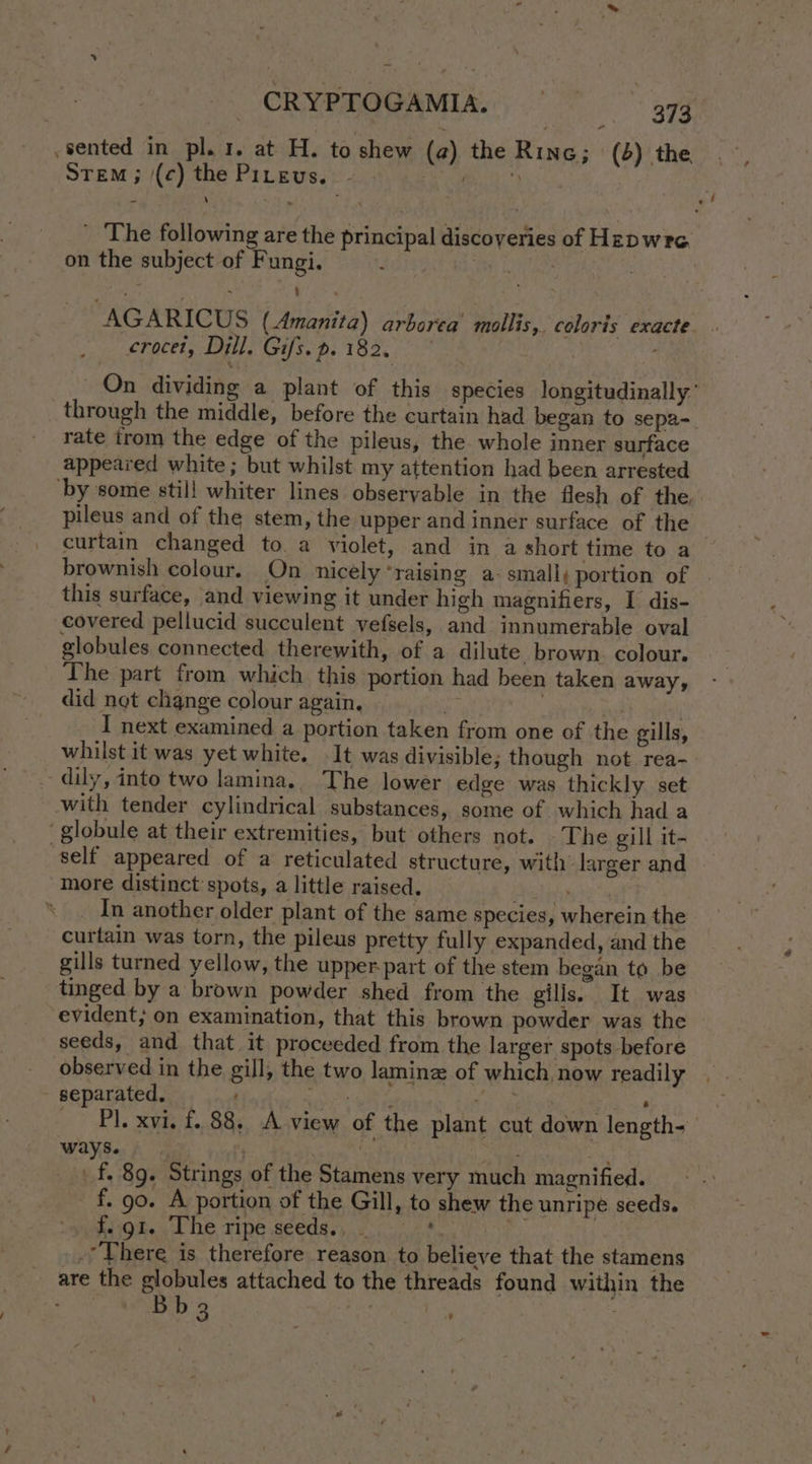 sented in pl. 1. at H. to shew (a) the Rin; (6) the Stem ; /(¢) the Pirgus. 24) 62 oe) ' The following are the principal discoveries of Hepwra on the subject of Fungi. By LAGS “AGARICUS (Amanita) arborea’ mollis, coloris exacte crocel, Dill. Gifs.p.182, y On dividing a plant of this species longitudinally’ through the middle, before the curtain had began to sepa- rate trom the edge of the pileus, the whole inner surface appeared white; but whilst my attention had been arrested by some still whiter lines observable in the flesh of the. pileus and of the stem, the upper and inner surface of the curtain changed toa violet, and in a short time to a brownish colour. On nicely ‘raising a- small; portion of this surface, and viewing it under high magnifiers, I dis- covered pellucid succulent vefsels, and innumerable oval globules connected therewith, of a dilute brown. colour. The part from which this portion had been taken away, did not change colour again. | | I next examined a portion taken from one of the gills, whilst it was yet white. It was divisible; though not rea- ~ dily, into two lamina.. The lower edge was thickly set with tender cylindrical substances, some of which had a ‘globule at their extremities, but others not. The gill it- self appeared of a reticulated structure, with larger and more distinct spots, a little raised. re In another older plant of the same species, wherein the curtain was torn, the pileus pretty fully expanded, and the gills turned yellow, the upper-part of the stem began to be tinged by a brown powder shed from the gills. It was evident; on examination, that this brown powder was the seeds, and that it proceeded from the larger spots before observed in the gill, the two lamine of which, now readily . - separated, ; A See ed nah a : p y Pi. xvi. f. 88, A view of the plant cut down length- ways. | fn _) £, 89. Strings of the Stamens very much magnified. f. 90. A portion of the Gill, to shew the unripe seeds. f. gt. The ripe seeds., _ . -’There is therefore reason to believe that the stamens are the globules attached to the threads found within the Bb2 nse feet Pa