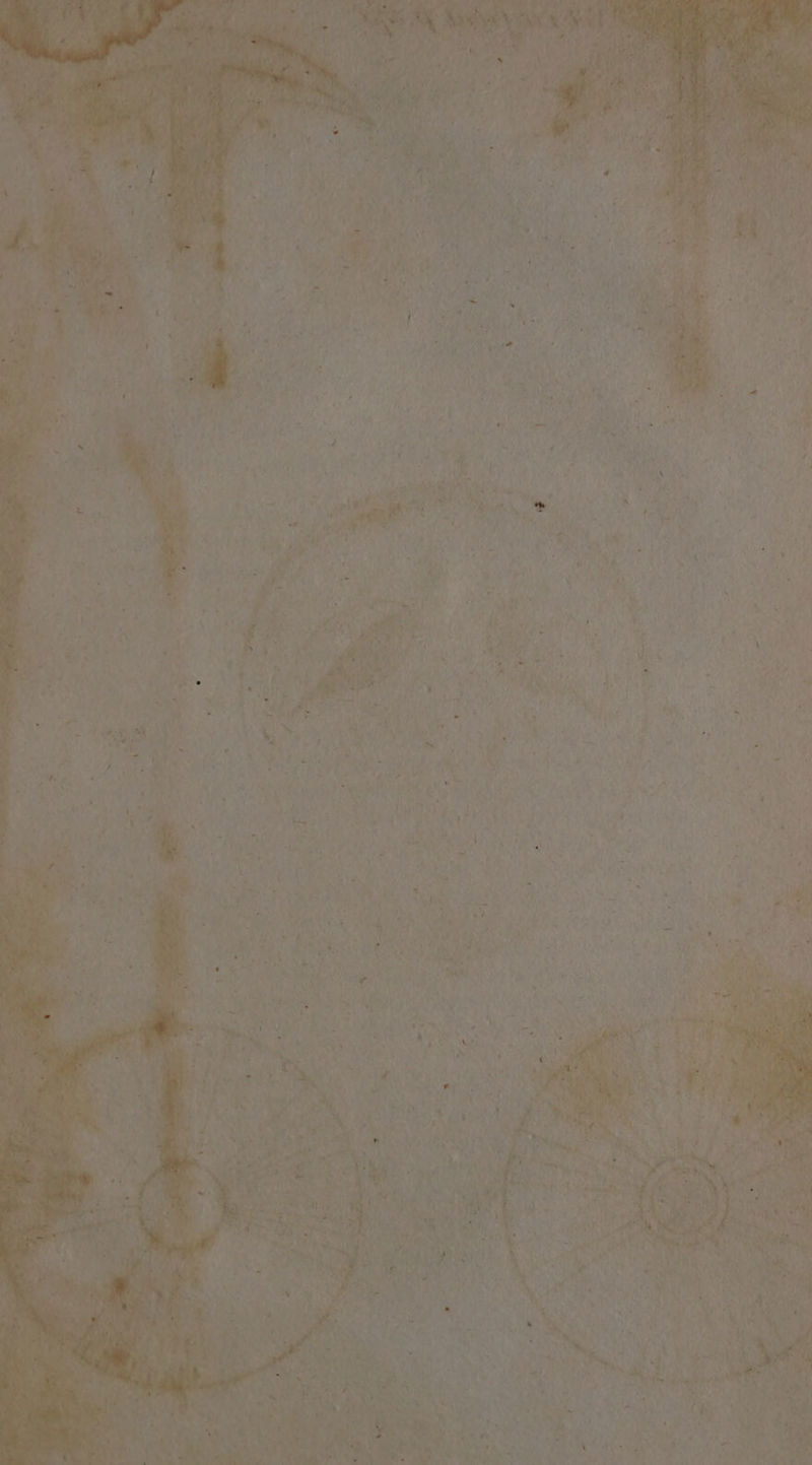 ‘ “ SRE die ae aac | Me pe se “i ‘ =,