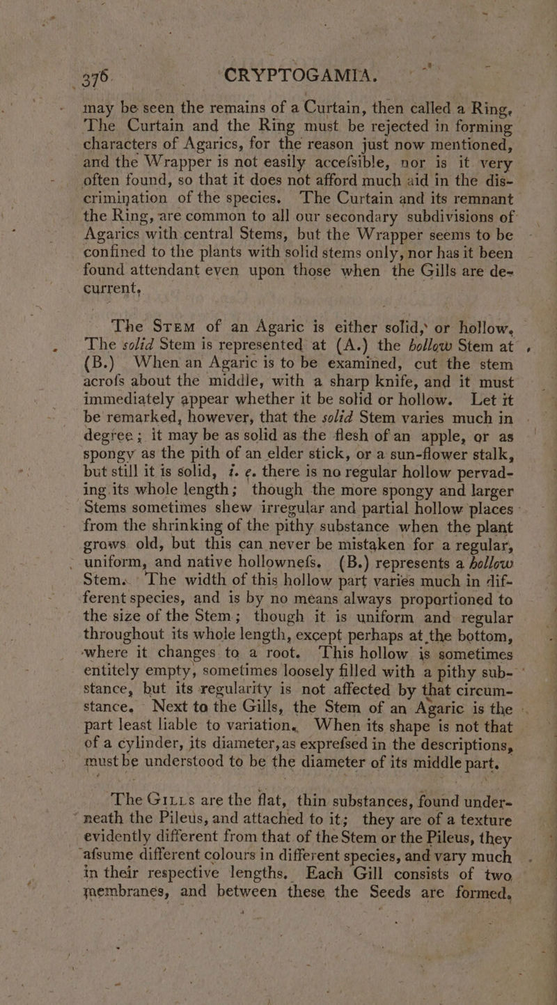 The Curtain and the Ring must be rejected in forming characters of Agarics, for the reason just now mentioned, and the Wrapper is not easily accefsible, nor is it very often found, so that it does not afford much aid in the dis- crimination of the species. The Curtain and its remnant Agarics with central Stems, but the Wrapper seems to be confined to the plants with solid stems only, nor has it been found attendant even upon those when the Gills are de- current, | The solid Stem is represented at (A.) the hollow Stem at (B.) When an Agaric is to be examined, cut the stem acrofs about the middle, with a sharp knife, and it must immediately appear whether it be solid or hollow. Let it be remarked, however, that the solid Stem varies much in degree ; it may be as solid as the flesh of an apple, or as spongy as the pith of an elder stick, or a sun-flower stalk, but still it is solid, 7. ¢. there is no regular hollow pervad- ing its whole length; though the more spongy and larger from the shrinking of the pithy substance when the plant grows. old, but this can never be mistaken for a regular, . uniform, and native hollownefs. (B.) represents a hollow Stem. The width of this hollow part varies much in dif- ferent species, and is by no means always propartioned to the size of the Stem; though it is uniform and regular throughout its whole length, except perhaps at the bottom, ‘where it changes to a root. This hollow is sometimes stance, but its regularity is not affected by that circum- part least liable to variation, When its shape is not that of a cylinder, its diameter, as exprefsed in the descriptions, must be understood to be the diameter of its middle part. ‘The Giiis are the flat, thin substances, found under- ‘neath the Pileus, and attached to it; they are of a texture evidently different from that of the Stem or the Pileus, they ‘afsume different colours in different species, and vary much in their respective lengths, Each Gill consists of two membranes, and between these the Seeds are formed. ’ , ee eee ee ee ee