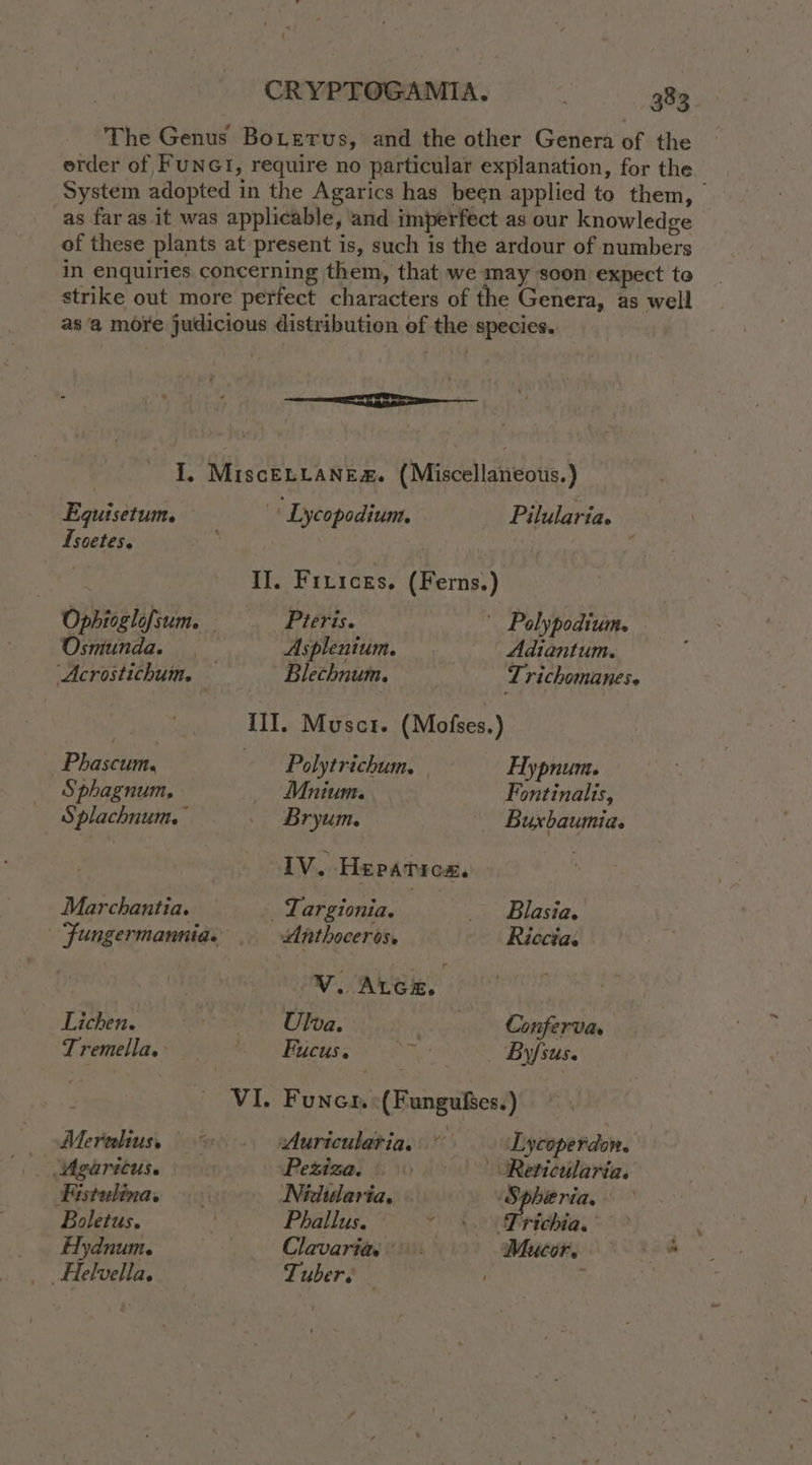 The Genus Boterus, and the other Genera of the erder of FUNGI, require no particular explanation, for the. System adopted in the Agarics has been applied to them, | as far as it was applicable, and imperfect as our knowledge of these plants at present is, such is the ardour of numbers in enquiries concerning them, that we may soon expect to strike out more perfect characters of the Genera, as well asa more judicious distribution of the species. Lg | - I. MiscenLanea. (Miscellaneous.) Equisetum. « Lycopodiunt. Pilularia. Isoetes. | ve IJ. Firicrs. (Ferns.) Ophioglofsum. _—- Pteris. _ Polypodium. Osmunda. Asplenium. Adiantum. ‘Acrostichum. Blechnum, Lrichomanese eS III. Musct. (Mofses.) _Phascum, - Polytrichum. Hypnum. Sphagnum, Mnium. Fontinalis, Splachnum. Bryum. — Buxbaumia. IV. Hepatica. Marchantia. _ Largionia. _ Blasia, Fungermannia. Anthoceros. Riccia. Lichen. ete Poa, Conferva. d Perpella, 0M Babbage nes By fens VIL Funer:(Fungufses.) Merlin <<. sAuriculatias © Lycoperdon. | Wearicus. Pesiza. ) Reticularia. Kistulina. Nidiudaria, Spheria, — Boletus. ; Phallus. ~~) \.0 \frichia.° Hydnume Clavaria: Mucir