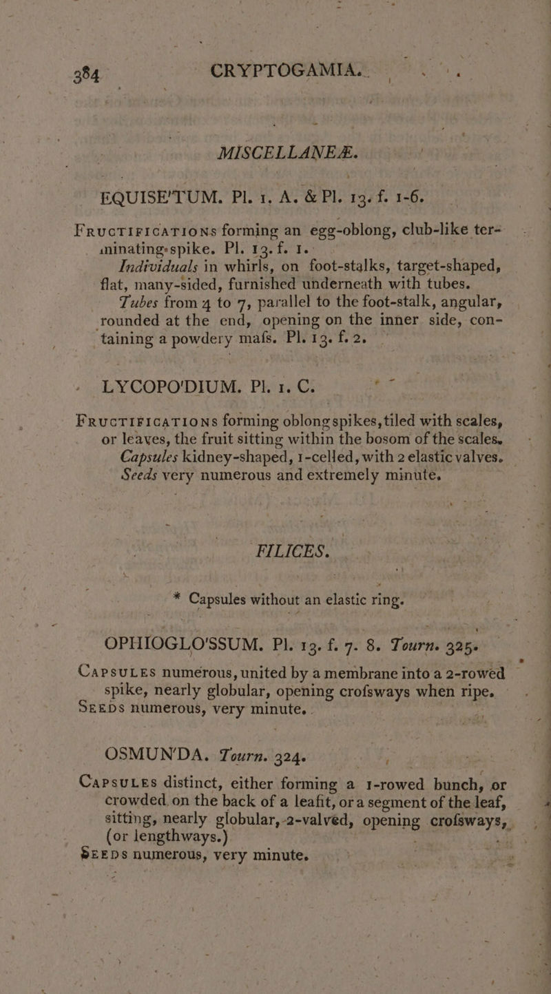 MISCELLANE. EQUISE/TUM. Pl. 1. A. &amp; Pl. 13. f. 1-6. FructTiricaTions forming an egg-oblong, club-like ter- ininating:spike. Pl. 13. f. 1. ve Individuals in whirls, on foot-stalks, target-shaped, flat, many-sided, furnished underneath with tubes. Tubes from 4 to 7, parallel to the foot-stalk, angular, rounded at the end, opening on the inner side, con- taining a powdery mals. Pl. 13. f.2. | LYCOPO'DIUM. Pl. 1. C. ay ie FrucTiF1caTions forming oblong spikes, tiled with scales, or leaves, the fruit sitting within the bosom of the scales. Seeds very numerous and extremely minute, FILICES. “ Capsules without an elastic ring. OPHIOGLO'SSUM. Pl. 13, f. 7. 8. Tourn. 325. spike, nearly globular, opening crofsways when ripe. © SEEDS numerous, very minute. . 1 - OSMUN'DA. Tourn. 324. CapsuLes distinct, either forming a t-rowed bunch, or crowded on the back of a leafit, ora segment of the leaf, (or lengthways.) SEEDS numerous, very minute. = - ¢ . « ’ =— == — ee a ee