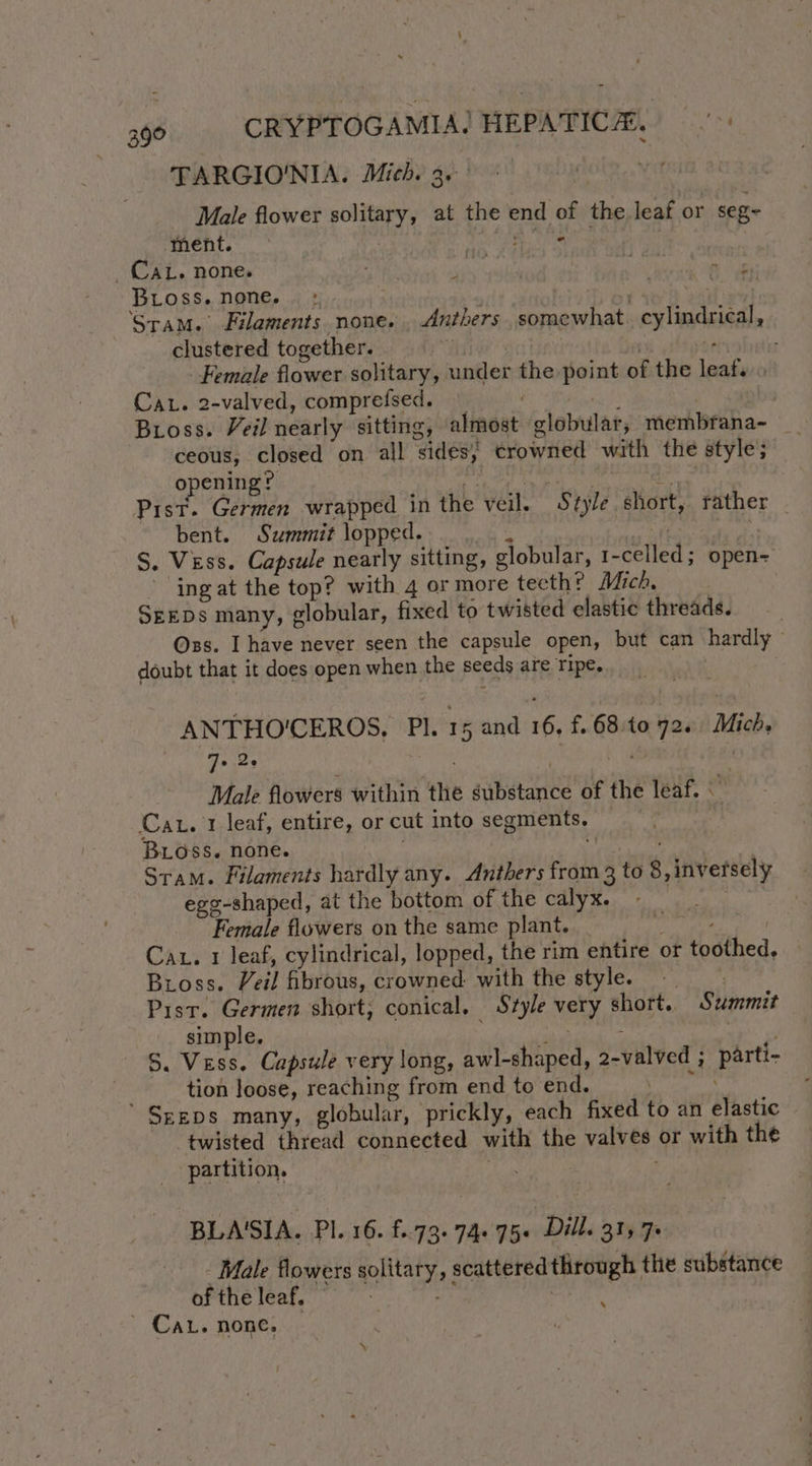 396. « CRYPTOGAMIA] HEPATICH. TARGIO'NIA. Mich. 3. | Male flower solitary, at the end of the leaf or seg- ‘ment. * Bs Pons tae i _CAL. none. ne | | Boss. none. : | , | wage ‘Stam. Filaments. none. , Anthers somewhat. cylindrical, clustered together. vase | + Female flower solitary, under the point of the leaf. . Cat. 2-valved, comprefsed. _ Bross. Veil nearly sitting, almost globular, membrana- ceous, closed on all sides; crowned with the style; opening? nee ah gs ee Pist. Germen wrapped in the veil. Style short, rather bent. Summit lopped. et ‘ S. Vess. Capsule nearly sitting, globular, 1-celled; open- ing at the top? with 4 or more tecth? Mich, | SEEDs many, globular, fixed to twisted elastic threads. Oss. I have never seen the capsule open, but can hardly doubt that it does open when the seeds are ripe. | _ <3 ANTHO'CEROS, Pl. 15 and 16, f.68:to 72. Mich, Jo Qe . | . ) Male flowers within the substance of the leaf. — Cat. 1 leaf, entire, or cut into segments. , a BLoss. none. ; | Stam. Filaments hardly any. Anthers from 3 to 8, inversely egg-shaped, at the bottom of the calyx. Female flowers on the same plant. eka Cat. 1 leaf, cylindrical, lopped, the rim entire or toothed. Bross. Veil fibrous, crowned with the style. Pist. Germen short; conical. Style very short. Summit simple. Per ieonrars Rae S. Vess. Capsule very long, awl-shaped, 2-valved ; parti- tion loose, reaching from end to end. ia Seeps many, globular, prickly, each fixed to an elastic twisted thread connected with the valves or with the partition, | : BLA'SIA. Pl. 16. £..73-74+75« Dill. 315 7» Male flowers solitary, scattered through the substance of the leaf. ais | ' Cau. none, x \