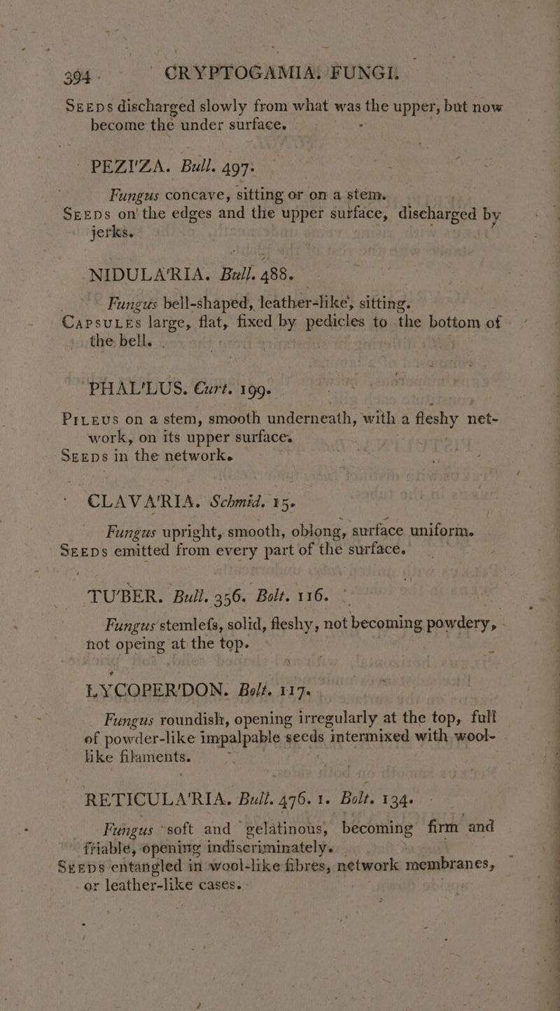 304: | CRYPTOGAMIA: FUNGI. SEEDS discharged slowly from what was Nets upper, but now become the under surface. -PEZIZA. Bull. 497° Fungus concave, sitting or on a stem. SEEDs on' the edges and the upper surface, discharged by Be. -NIDULA'RIA. Bull. 488. Fungus bell-shaped, leather-like’, sitting. the bell. PHAL'LUS. Curt. 199. Prieus on a stem, smooth underneath, with a feshy 1 net- work, on its upper surface. SgeEDs in the network. CLAVA'RIA. Schmid. 15. Fungus upright, smooth, oblong, surface uniform. SEEDs emitted from every part of the surface. TUBER. Bull. 356. Bolt. 116. not eee ile top. 2 X LYCOPER'DON. Bolt. 117s Fungus roundish, opening irregularly at the top, full of powder-like impalpable § ageae intermixed with wool- hi ke hc a RETICULARIA. Bull. 476.1. Bolt. 134. _ Fungus soft and gelatinous, becoming firm and friable, opening indiscriminately. or leathier-Hke cases. - ee - ' - . : = Pee ee ee ae he ee