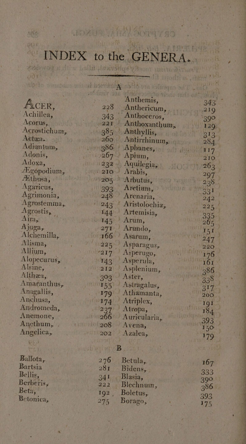 A\ceR, Achillea, Acorus,, Agtea.) <: Adiantum, Adonis, Adoxa, \:: /-gopodium, Aatbusa, Agaricus, Agrimonia, Agrostemma,. Agrostis, ‘Atra; Ajuga,. Alchemilla, Alisma, Allrum, Alopecurus,. Alsine, | Althea, Amaranthus, Anagallis, Anchusa, Andromeda, Anemone, Anethum,, Angelica, Ballota,.. Bartsia Bellis, Berberis, Beta,” Betonica, Anthemis, Anthoceros, Antirrhinum, ‘krabis, rey Aretium, Arenaria, Aristolochiz,. Artemisia, Asarum, Asperugo, Asplenium, Astragalus, Atriplex, Atropa, Auricularia, Avena, Azalea, Betula,. Bidens, Blechnuin, Borago, ee Se ee. ee Se