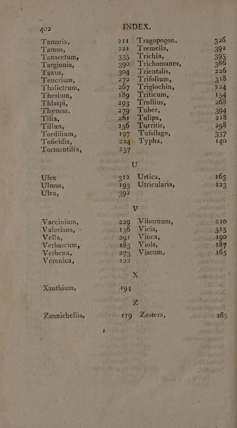 ~ 402 Tamarix, Tamus, ‘Tanacetum, Targionia, Taxus, ‘Teucrium, Thalictrum, Thesium, Thlaspi, Thymus, Tilia, ~ Tillea, Tordilium, Tofieldia, Tormentilia, Ulex Ulmus, Ulva, Vaccinium, Valeriana, ~ ‘Vella, Verbascum,,. Verbena, Veronica, *Xanthium, Zannichellia, 21T 223 335 392 272 189 293 279 261 156 197 193 229 136 2gi 183 122 11g Tragopogon. Tremella, Trichia, ‘Trientalis, Triglochin, Triticum, Trollius, Tuber, Tuisilago, Typha, Urtica, Utricularia, Viburnum, Vinca, Viola, Viscum, Zostera,