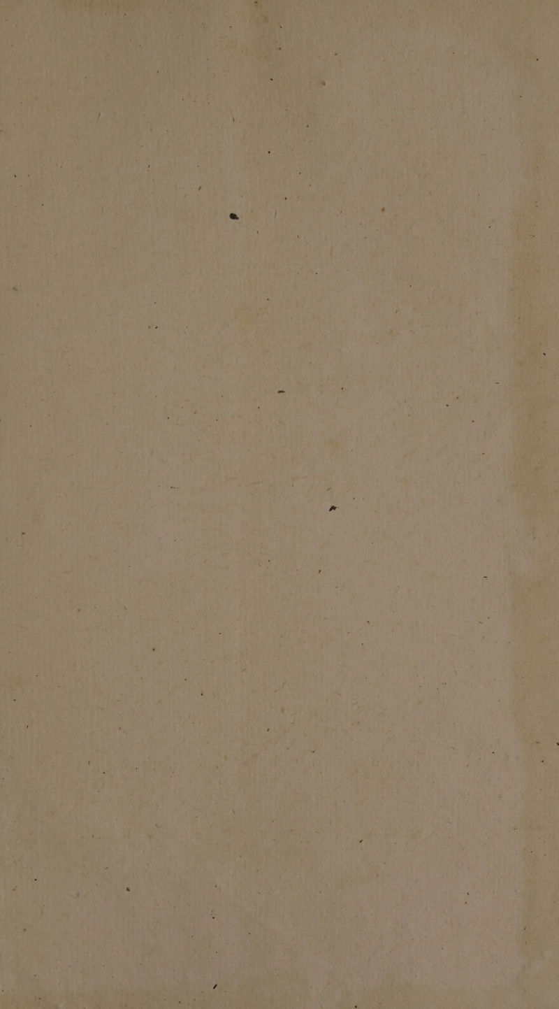 ert ees Le) a an > ee oe le ——