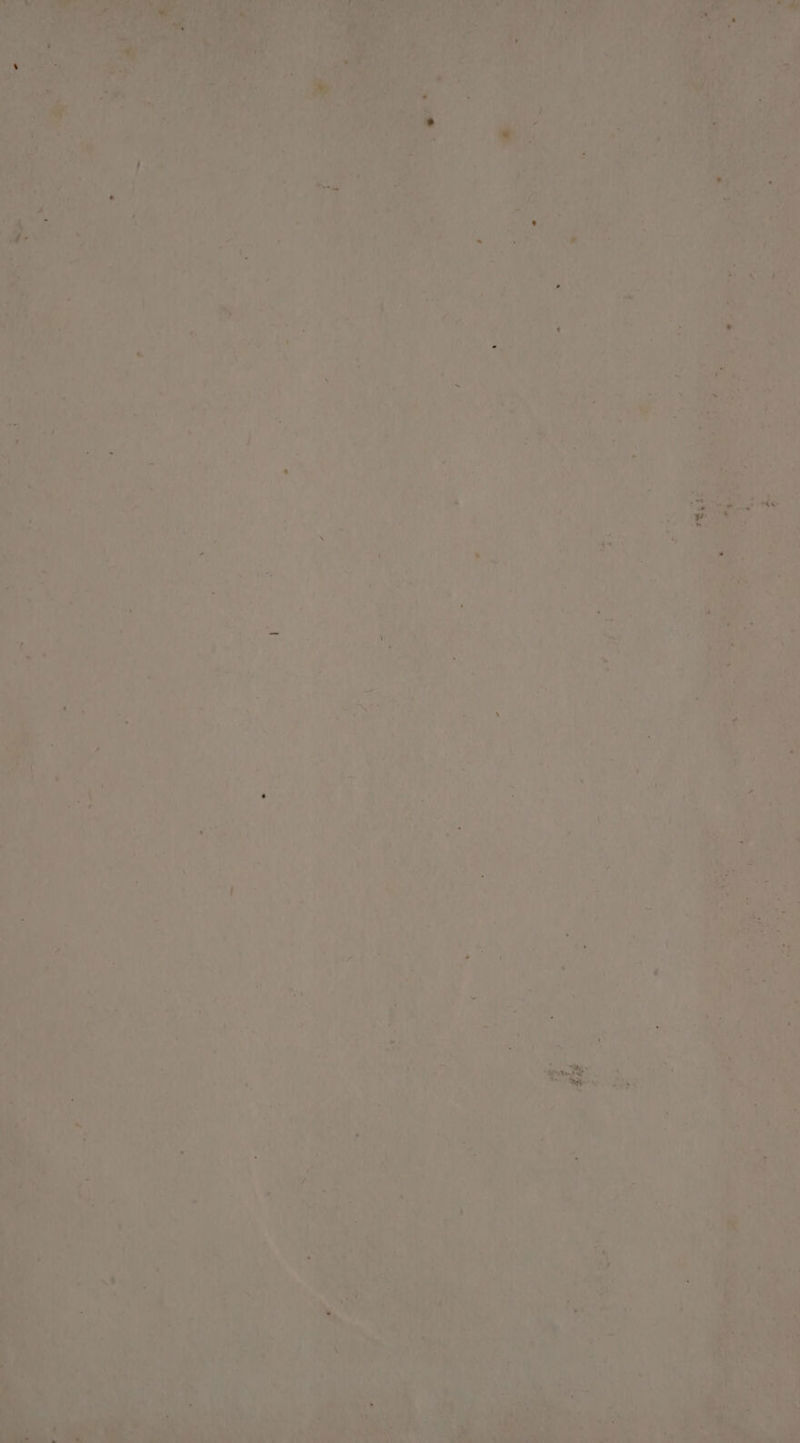 grit, +5 ‘2 eh oes : he! + ed | * ROA ee >