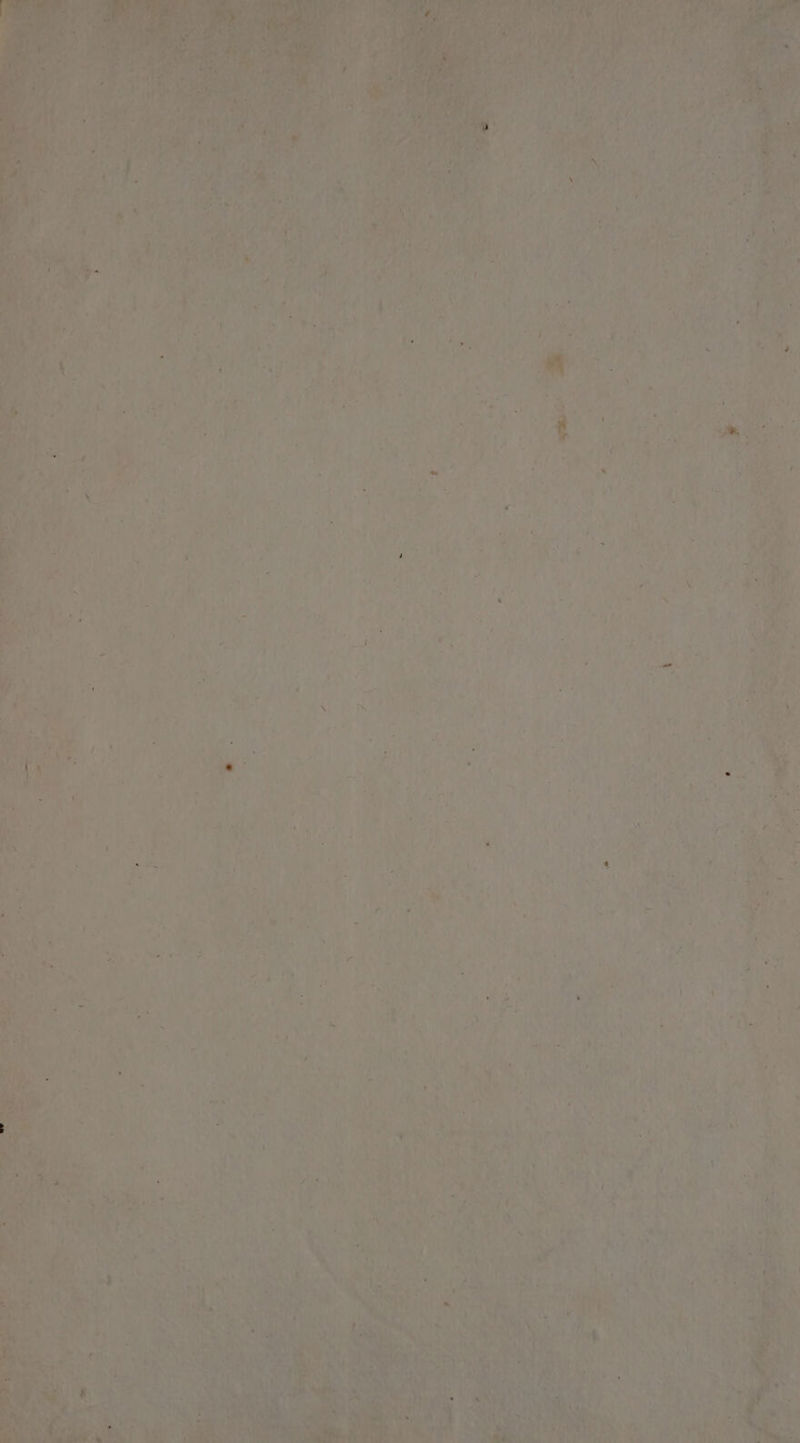 he ¥ ; 7 <3 2 BZeS. oe £, ’ s -_ a - ; Us - one mae YS ee :