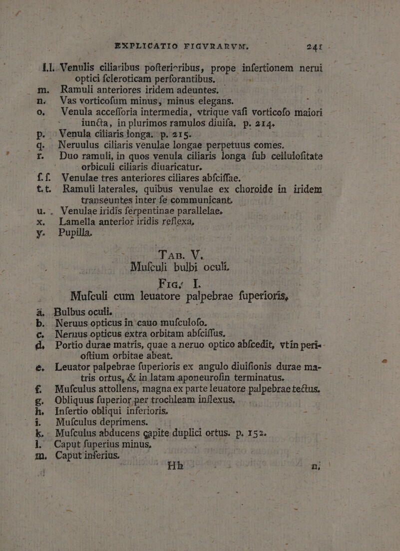 n. O, p. u. X. y. optici fcleroticam perforantibus. - Ramuli anteriores iridem adeuntes. - Vas vorticofum minus, minus elegans. Venula accefforia intermedia, vtrique vafi vorticofo maiori iuncta, in plurimos ramulos diuifa. p. 214. — Venula ciliaris longa. p. 215. Neruulus ciliaris venulae longae perpetuus comes. Duo ramuli, in quos venula ciliaris longa fub cellulofitate -erbiculi ciliaris diuaricatur. — Venulae tres anteriores ciliares abífciffae. Ramulilaterales, quibus venulae ex choroide in | jridem transeuntes inter fe communicant, Lamella anterior iridis reflexa, Pupilla. | ; P AB. V. Mufculi bulbi oculi, Ea Fre; I. Mufculi cum leuatore palpebrae fuperioris, Neruus opticus in cauo Bb ciots Neruus opticus extra orbitam abíciffus, Portio durae matris, quae a neruo optico abícedit, vtin peri«- oftium orbitae abeat. Leuator palpebrae fuperioris ex angulo diuifionis durae ma- tris ortus, &amp; in latam aponeurofin terminatus, Mufculus attollens, magna ex parte leuatore palpebrae tectus, Obliquus fuperior per trochleam inflexus. Infertio obliqui inferioris, NE : Mufculus deprimens. Mufculus abducens capite dopli ortus. p. 152. Caput fuperius minus, Caputinferius ! | ji Hb cT n,