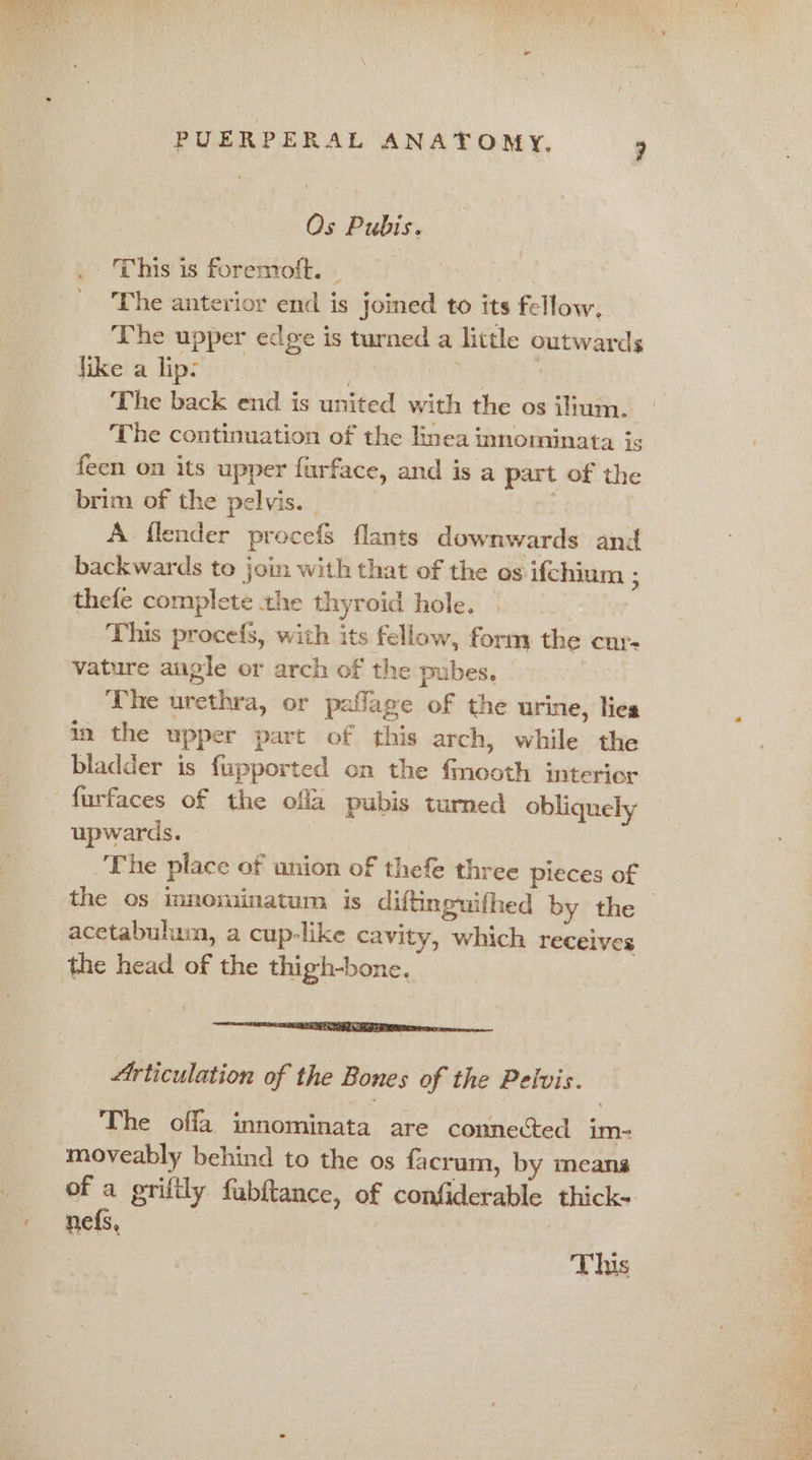 Os Pubis. This is foremoft. | The anterior end is joined to its fellow. The upper edge is turned a little outwards jike a lip: . rr The back end is united with the os ilium. The continuation of the inea innominata is feen on its upper farface, and is a part of the brim of the pelvis. | A flender procefs flants downwards and backwards to join with that of the os ifchium ; thefe complete the thyroid hole. This procefs, with its fellow, form the cur- vature angle or arch of the pubes, 3 The urethra, or paflage of the urine, lies in the upper part of this arch, while the bladder is fupported on the fmooth interior furfaces of the ofla pubis tumed obliquely upwards. The place of union of thefe three Pleces of the os immominatum is diftinguifhed by the — acetabulum, a cup-like cavity, which receives Ee ERNE eer Articulation of the Bones of the Pelvis. The offa innominata are connected im- moveably behind to the os facrum, by means of a priftly fubftance, of confiderable thick- nefs, This