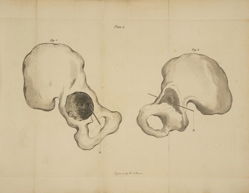 ee ee Se eee . Plate 3. | Cagraved ty U, A. Cao eee te: eae: