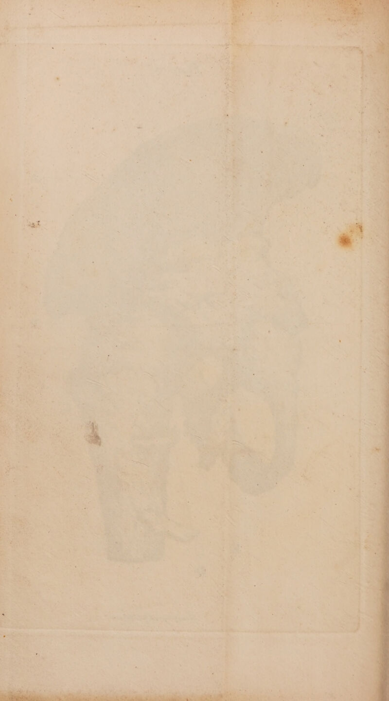 4 ” , Se Sete meta nr etn A , ‘ . bei, See | | r Ly - ay | . ' . “s = c > bs os . . > z _ Sea [ ae > > 3 + “ r- “oe = : . : ; ; - £ : ‘ . sis %, “ a 7 . * ‘ 7 : “ 3%. * - - - ‘a ; & : me 2