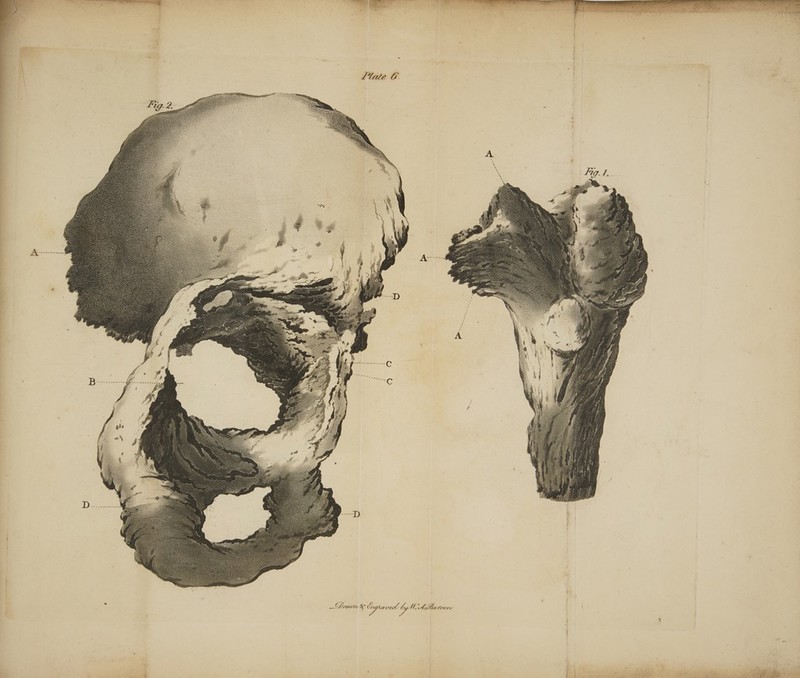 f | | | } 4 ; | 4 “a | | Ay >