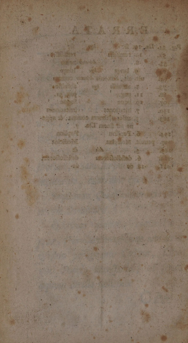 ^ H wA pap y ! LWS Laco Deco adr ARR A d TCI n EPOR P s Ry Lu