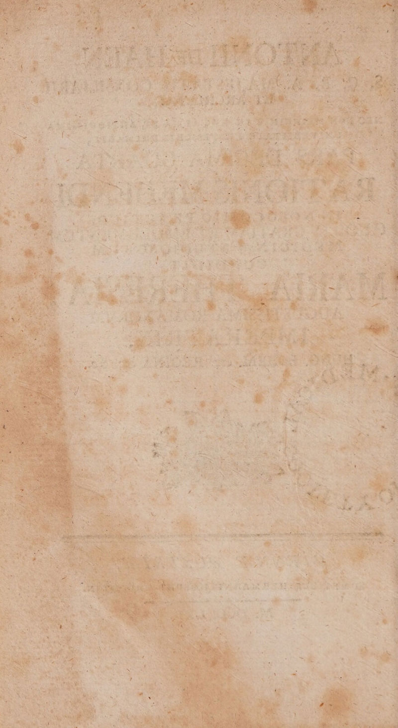 ks E AEN Ld 2 T D TAE