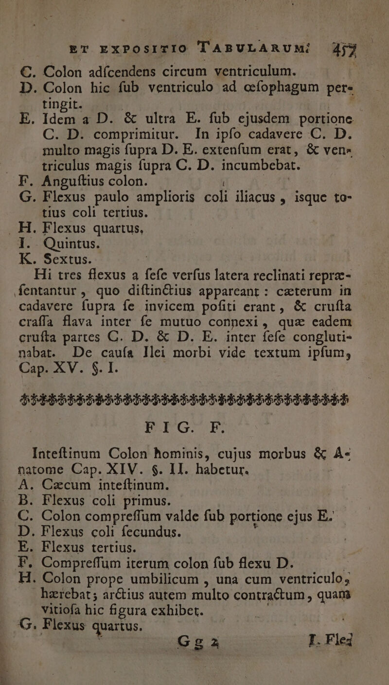. Colon adícendens circum ventriculum. . Colon hic fub ventriculo ad cefophagum per- tingit. co E. Idem a D. &amp; ultra E. fub cjusdem portione C. D. comprimitur. In ipfo cadavere C. D. multo magis fupra D. E. extenfum erat, &amp; vene triculus magis fupra C. D. incumbebat. . Anguítius colon. . Flexus paulo amplioris coli iliacus , isque to- tius coli tertius. . Flexus quartus, Quintus. . Sextus. pem e Hi tres flexus a fefe verfus latera reclinati reprz- fentantur , quo diftin&amp;ius appareant : ceterum in cadavere fupra fe invicem pofiti erant , &amp; crufta craffa flava inter fe mutuo connexi , qua eadem crufta partes C. D. &amp; D. E. inter fefe congluti- nabat. De cauía llei morbi vide textum ipfum, Cap. XV. S. I. BT4AGBEIMEMMEREERBEE EDEN EIs FIG. F. Inteftinum Colon hominis, cujus morbus &amp; Á- natome Cap. XIV. $. II. habetur. . Cecum inteftinum. . Flexus coli primus. . Colon compreffum valde fub portione ejus E^ . Flexus coli fecundus. : . Flexus tertius. Compreffum iterum colon fub flexu D. . Colon prope umbilicum , una cum ventriculo; haerebat ; ar&amp;ius autem multo contractum , quam vitiofa hic figura exhibet. G. Flexus quartus. mumBOOU»