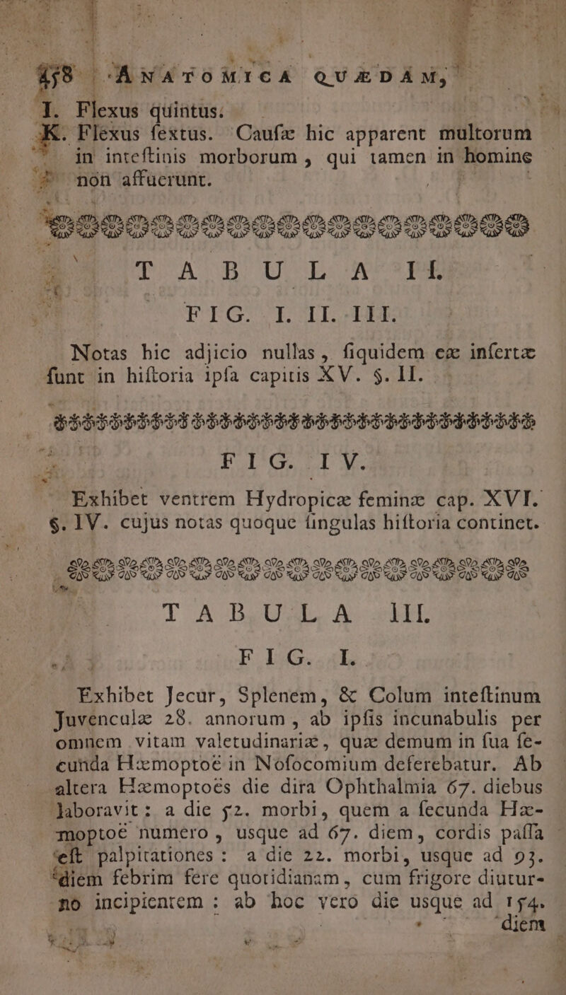 1 » ) TS Rss ista add AEN A. Flexus qiíintus. . Flexus fextus. Caufa hic apparent multorum in inteftinis morborum , qui tamen in Ponine A non affuerunt. 17 a S MEN 17 : CORQA * e US Mes TE Nr A ; v eS ERES. m. d ; à : » j X * j  p: X TA BU LX I f. FTEG EL IL.TET: Notas hic adjicio nullas, damos ea iníertz funt in hiítoria 1pfa capitis XV. $. LI. qiiebbbbss dopddepddes depdddqqdeqdpodeqdurde 2 m. FIG. IV. — Exhibet ventrem Eydiopite feminz cap. XVI. $. IV. cujus notas quoque íingulas hiftoria continet. 0o9ODOSODODODODOBDOS D om l A DUAL AcauEL CA FE IG. auLk. Exhibet Jecur, Splenem, &amp; Colum inteftinum juvencule 28. annorum, ab ipfis incunabulis per omnem vitam valetudinarid , quae demum in fua fe- cunda Hx moptoé in Nofocomium deferebatur. Ab altera Fizemoptoes die dira Ophthalmia 67. diebus laboravit: a die j2. morbi, quem a fecunda Hz- -moptoe numero , Usque ad 67. diem, cordis paíla ft palpitationes : a die 22. morbi, usque ad 93. dica febrim fere quotidianam, cum frigore diutur- no incipientem : ab d vero die usque ad r4. A 4€ . diem wr » » j e S -— : *