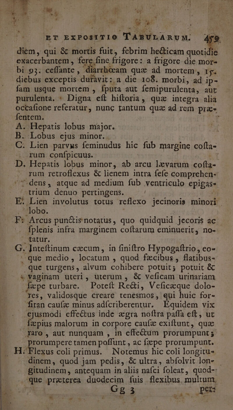diem , qui &amp; mortis fuit, febrim he&amp;icam quotidie exacerbantem , fere fine frigore: a frigore die mor- bi 93. ceffante , diarrhtéeam qux ad mortem, rg. diebus exceptis dufavit;,a die 108. morbi, ad ip- fam usque mortem , fputa aut femipurulenta, aut purulenta. * Digna eít hiftoria, qua integra alia occafione referatur, nunc tantum quz ad rem prz» fentem. : [Tte A. Hepatis lobus major. | B. Lobus ejus minor.. C. Lien parvws feminudus hic fub margine co(íta- D. : cu * | E A wh yu ET rum conífpicuus. MO Hepatis lobus minor, ab arcu lxvarum cofta- rum retroflexus &amp; lienem intra fefe comprehen- T.dens, atque ad medium fub ventriculo epigas- -trium denuo pertingens. ^d E. Lien involutus totus reflexo jecinoris minori | . ' lobo. | | .F* Arcus pun&amp;is notatus, quo quidquid jecoris ac . fplenis infra marginem coftarum eminuerit, no- . tatur. G. [nteftinum czcum, in finiftro Hypogaftrio, eo- ' que medio , locatum , quod fzcibus , flatibus- que turgens, alvum cohibere potuit; potuit &amp; &amp; vaginam uteri, uterum , &amp; veficam urinariam Txpe turbare. | Poteft Re&amp;i, Veficacque dolo- Tes, validosque creare tenesmos, qui huic for- iran cauíze minus adícriberentur. Equidem vix ejusmodi effectus inde agra noftra paffa eft, ut Ízpius malorum in corpore caufz exifítunt, quzc .Xaro , aut nunquam , in effectum prorumpunt; prorumpere tamen poffunt , ac fzepe prorumpunt. - ——. H: Flexus coli primus. Notemus hic coli longitus | dinem, quod jam pedis, &amp; ultra, abfolvit lon- gitudinem, antequam in aliis nafci foleat, quod-: que praterea duodecim íuis flexibus. multum, * | Gg 3 vas pen Wu