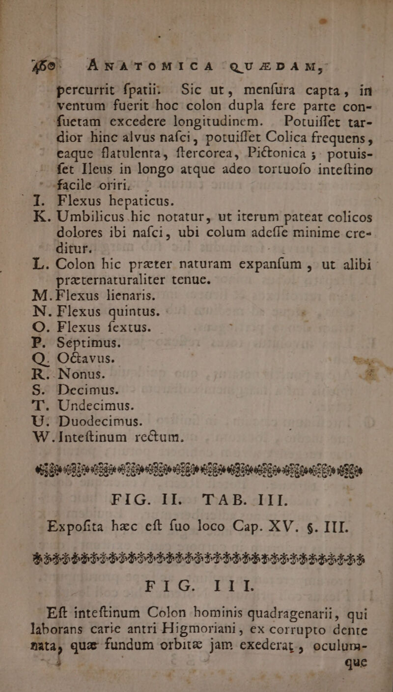 ventum fuerit hoc colon dupla fere parte con- fuetam excedere longitudinem. | Potuiffet tar- facile oriri. —. Flexus hepaticus. dolores ibi nafci, ubi colum adceífe minime cre- ditur. i praternaturaliter tenuc. .Flexus lienaris. . Flexus fextus. Q. Ocavus. m .JNonus. Az S. Decimus 'T. Undecimus. U FIG. II. TAB. III. Expofita hzc cft fuo loco Cap. XV. $. III. B Axe oA. ds Eft inteftinum Colon hominis quadragenarii, qui que , »