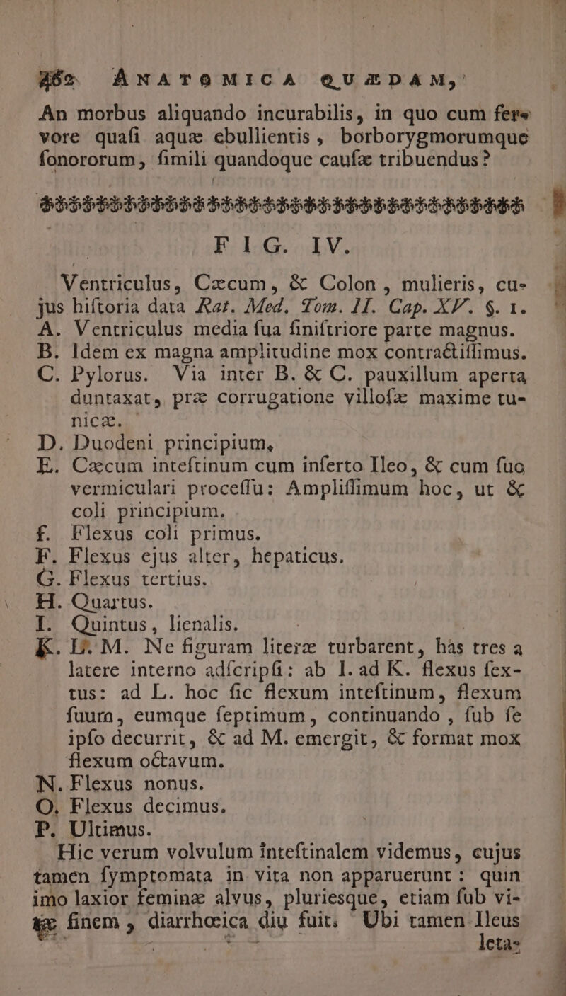 462. ANATOMICA QUZDAM; An morbus aliquando incurabilis, in quo cum fers vore quafi aquz cbullientis , borborygmorumque fonororum, fimili quandoque caufa tribuendus ? QOQPIQEOdbpdqaqappdqpqqpqhappdppeduh FIG. IV. Ventriculus, Czxcum, &amp; Colon , mulieris, cu- jus hiftoria data Aaz. Med. Tom. 1I. Cap. XP. $. 1. A. Ventriculus media fua finiftriore parte magnus. B. ldem ex magna amplitudine mox contractiffimus. C. Pylorus. Via inter B. &amp; C. pauxillum aperta duntaxat, prz corrugatione villofa maxime tu- nica. D. Duodeni principium, E. Cacum inteftinum cum inferto Ileo, &amp; cum fuo vermiculari proceffu: Ampliffimum hoc, ut &amp; coli principium. f. Flexus coli primus. F. Flexus ejus alter, hepaticus. G. Flexus tertius, H. Quartus. I. Quintus, lienalis. K. E. M. Ne figuram literz turbarent, hàs tres a latere interno adícripfi: ab 1. ad K. flexus fex- tus: ad L. hoc fic flexum inteftinum, flexum fuura, eumque feptimum, continuando , fub fe flexum octavum. N. Flexus nonus. O. Flexus decimus. P. Ultimus. Hic verum volvulum inteftinalem videmus, cujus tamen fymptomata in Vita non apparuerunt : quin imo laxior feminz alvus, pluriesque, etiam fub vi- &amp;c fincm , diarrhocica diu fuit; — Ubi pu T | TET Ye ctà- kt. p