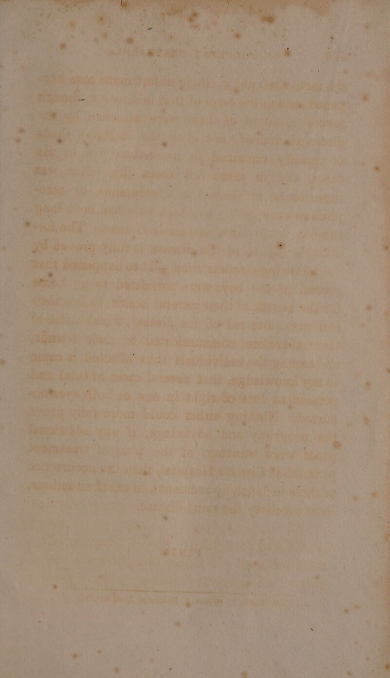 igri War ad, iG a le 4 uP, i a ae PPR 6 208 Bs pene APOE: i, Ay aah aa i aaa ete Die ines) | i riat ¢ at Jan 7 it colt aioe eae habeiele oe bat S' EON iol igh: Ge, sce Pilg, iP ‘he hts ny Hey | ey Ka i” : ake; avast: ai ve es, rt ays qo ike: ; ¥: nen : 4 Se ve! yeh nas bins wea Ue Lin ey chil ner is, i ‘ 1 hee hc ey Tesi am : be aoe bseamars dale) Ake aa WEES. Me a Miho. pa ORORI A. er ewe Day eee . sik Ss. a 5 inion ‘was ond pateokaebamrae : eae ‘ad ie Feit xin 7 bag Sac : 1s Ri pee ooh ni: eat | iat an ic &gt; ‘