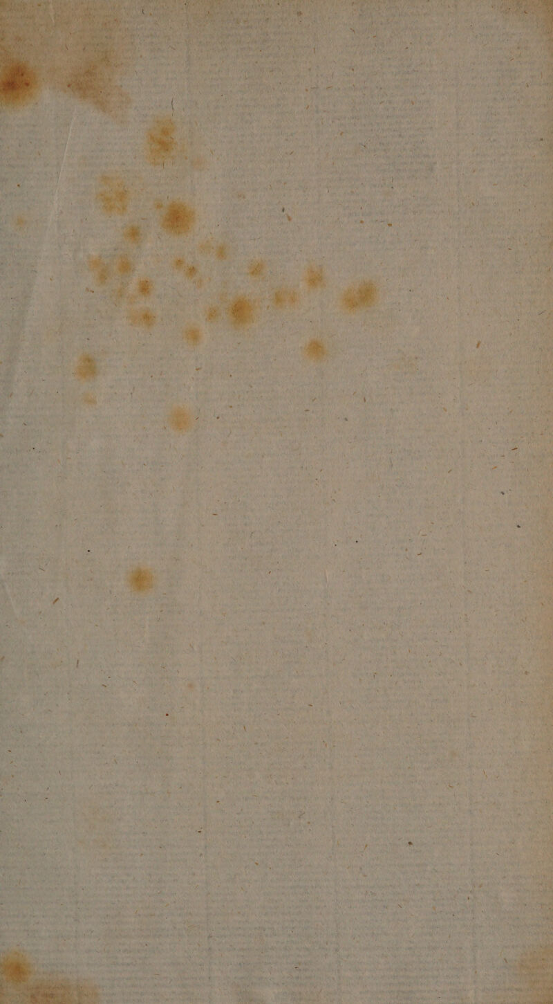 Sy fall Oh te rar wpe fare Fe Fes Nn peal oii ine » Ae ew