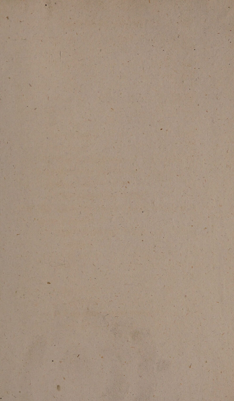 rig “— as = ope 7 a