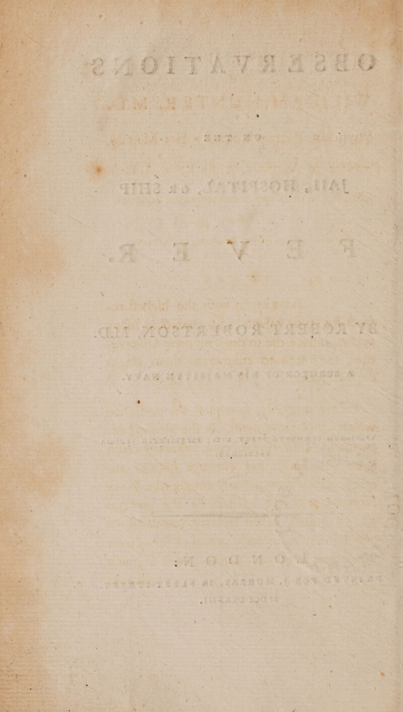 “ ta Se . ae = i = SE SD + = . iat er ‘we are te ey + ; or ae 7 RAS: io545 + ie