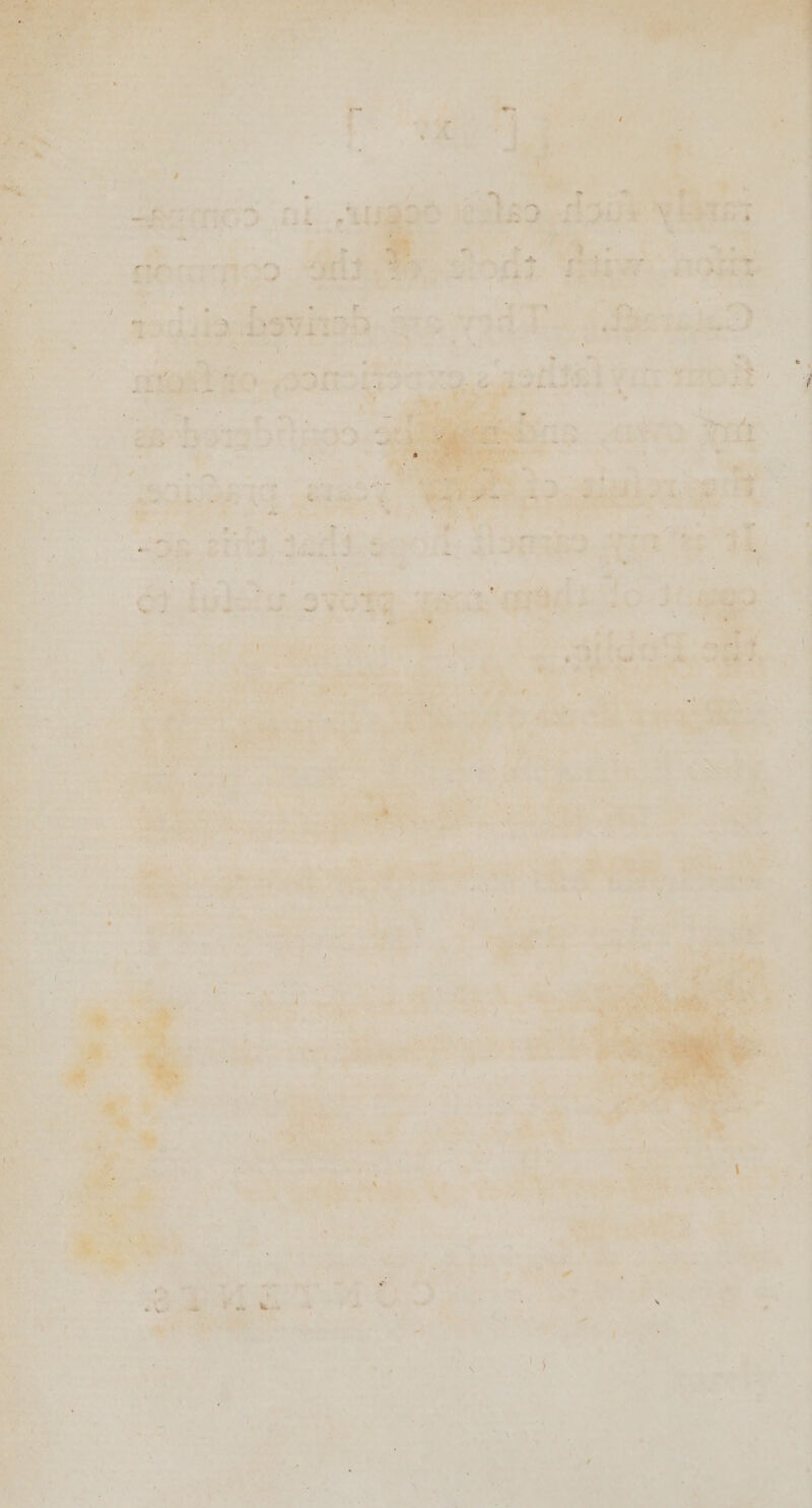 PUNE aia: : : # ie ante