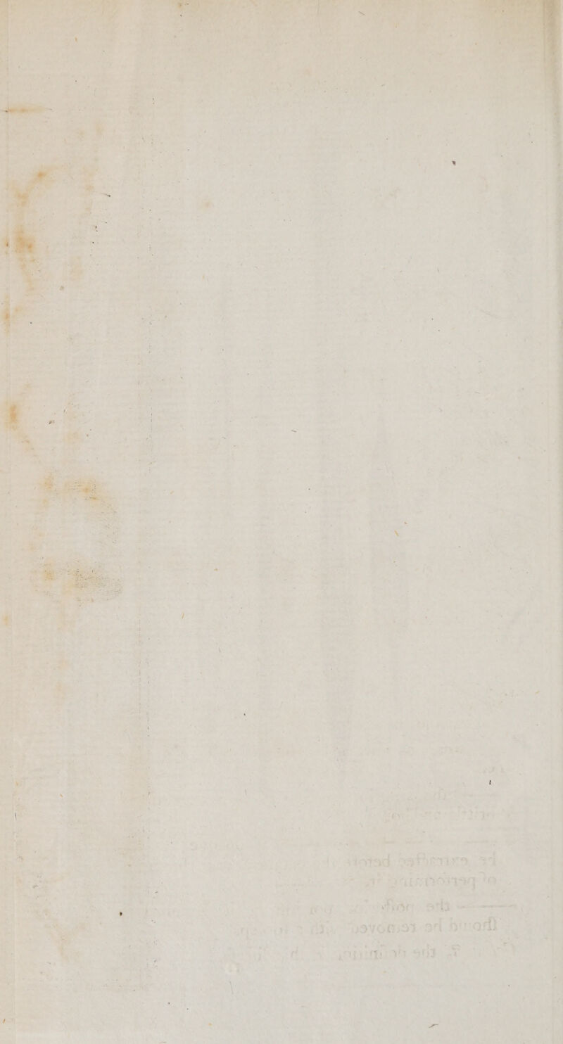 =i viii aie he a * ae % t ee - c 7 .s ' a ee, why, Hag’ a ie ae