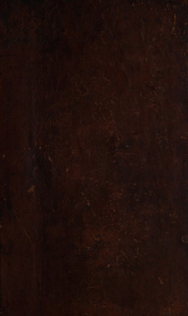 digitised image 1