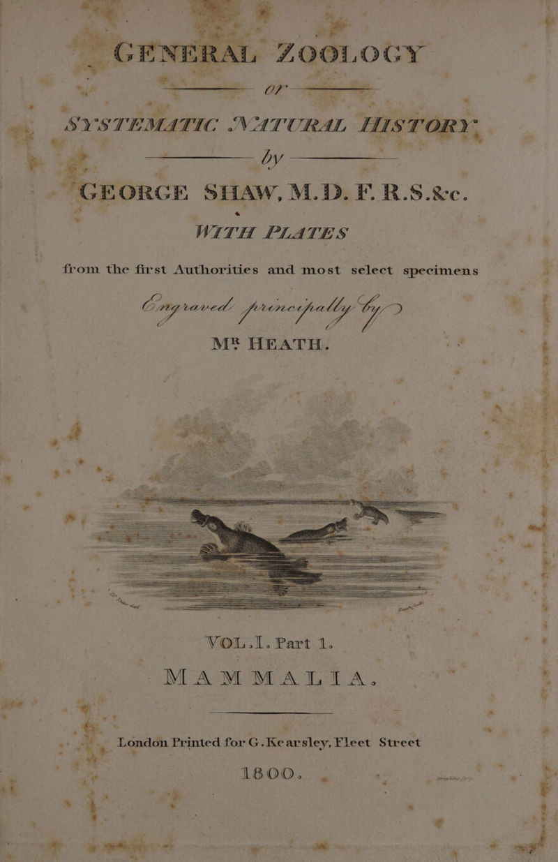 Predoty a es SHAW, M.D. F.R.S.&amp;c. : WITH PLATES teen: the first Authorities and most select specimens | Caarisiedl pibucsedee ee t pintte dee Ve? M® HEATH. +2 . VOL.I. Part 1. _ MAMMALIA. ‘ee _ London Printed for G. Kearsley, Fleet Street ® : ae ‘sw Rin et ckaitied 5 FS ONS A SCRE De ER NBN ss