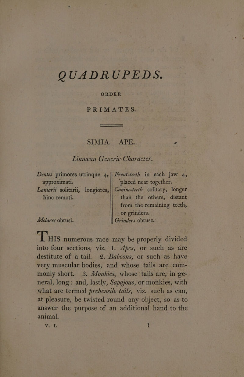 QUADRUPEDS. ORDER PRIMATES. SIMA. APE. _ Linnean Generic. Character. Dentes primores utrinque 4, || Front-teeth in each jaw 4, approximati. ‘placed near together. Laniarii solitarii, longiores, || Canine-teeth solitary, longer hinc remoti. than the others, distant from the remaining teeth, or grinders. Molares obtusi. Grinders obtuse. Tuts numerous race may be properly divided into four sections, viz. 1. dpes, or such as are destitute of a tail. 2. Baboons, or such as have very muscular bodies, and whose tails are com- monly short. 3. Monkies, whose tails are, in ge- neral, long: and, lastly, Sapajous, or monkies, with what are termed prehensile tails, viz. such as can, at pleasure, be twisted round any object, so as to answer the purpose of an additional hand to the animal. We Te ]