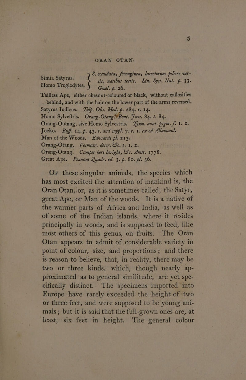 Simia Satyrus. sis, natibus tectis. Lin. Syst. Nat. p. 33- Homo Troglodytes. Gmel. p. 26. Tailless Ape, either chesnut-coloured or black, without callosities _-behind, and with the hair on the lower part of the arms reversed. Satyrus Indicus. Tulp. Obs. Med. p. 284. t. 14. Homo Sylveftris. Croton Fav. 84. t. 84. Orang-Outang, sive Homo Sylvestris. Zyson. anat. pygm. f. 1. 2. Jocko. Buff. 14. p. 43. t. and suppl. 7.1. 1. ex ed Allamand. Man of the Woods. Edwards pl. 213. Orang-Otang. Vosmaer. descr. Se. t. 1. 2. Orang-Otang. Camper kort beright, Jc. Amst. se Great Ape. Pennant Quadr. ed. 3. p. 80. pl. 36. ie ecaudata, ferruginea, lacertorum pilisre ver- Or these singular animals, the species which has most excited the attention of mankind is, the Oran Otan, or, as it is sometimes called, the Satyr, great Ape, or Man of the woods. It is a native of the warmer parts of Africa and India, as well as of some of the Indian islands, where it resides principally in woods, and is supposed to feed, like most others of this genus, on fruits. The Oran Otan appears to admit of considerable variety in point of colour, size, and proportions; and there is reason to believe, that, in reality, there may be two or three kinds, which, though nearly ap- proximated as to general similitude, are yet spe- cifically distinct. The specimens imported into Europe have rarely exceeded the height of two or three feet, and were supposed to be young ani- mals ; but it is said that the full-grown ones are, at least, six feet in height. The general colour