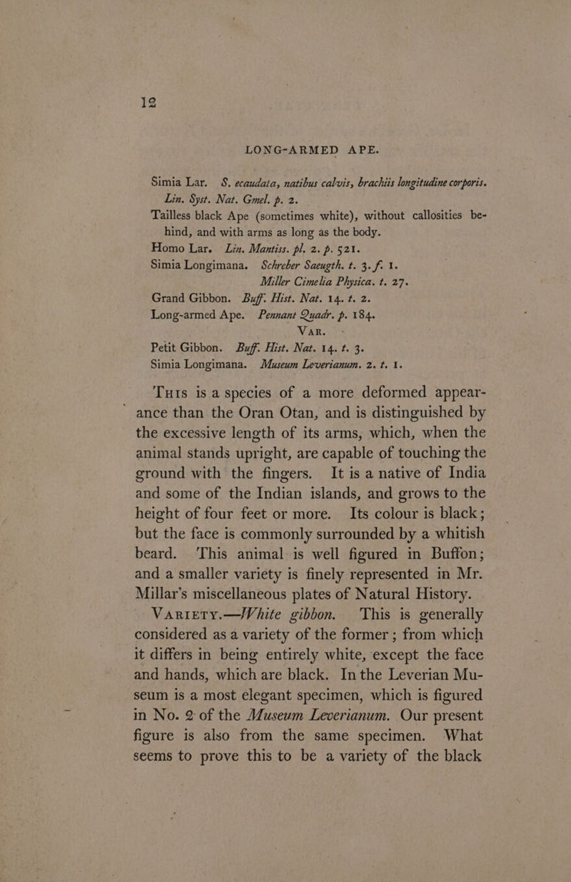 LONG-ARMED APE. Simia Lar. S. ecaudata, natibus calvis, brachiis longitudine corporis. Lin, Syst. Nat. Gmel. p. 2. Tailless black Ape (sometimes white), without callosities be- hind, and with arms as long as the body. Homo Lar. Lin. Manitiss. pl. 2. p. 521. Simia Longimana. Schreber Saeugth. t. 3. f. 1. Miller Cimelia Physica. t. 27. Grand Gibbon. Buff. Hist. Nat. 14. t. 2. Long-armed Ape. Pennant Quadr. p. 184. VaR. Petit Gibbon. Buff. Hist. Nat. 14. t. 3. Simia Longimana. Museum Leverianum. 2. t. 1. THis is a species of a more deformed appear- ~ ance than the Oran Otan, and is distinguished by the excessive length of its arms, which, when the animal stands upright, are capable of touching the ground with the fingers. It is a native of India and some of the Indian islands, and grows to the height of four feet or more. Its colour is black; but the face is commonly surrounded by a whitish beard. ‘This animal is well figured in Buffon; and a smaller variety is finely represented in Mr. Millar’s miscellaneous plates of Natural History. Variety.—WVhite gibbon. This is generally considered as a variety of the former ; from which it differs in being entirely white, except the face and hands, which are black. Inthe Leverian Mu- seum is a most elegant specimen, which is figured in No. 2 of the Museum Leverianum. Our present figure is also from the same specimen. What seems to prove this to be a variety of the black