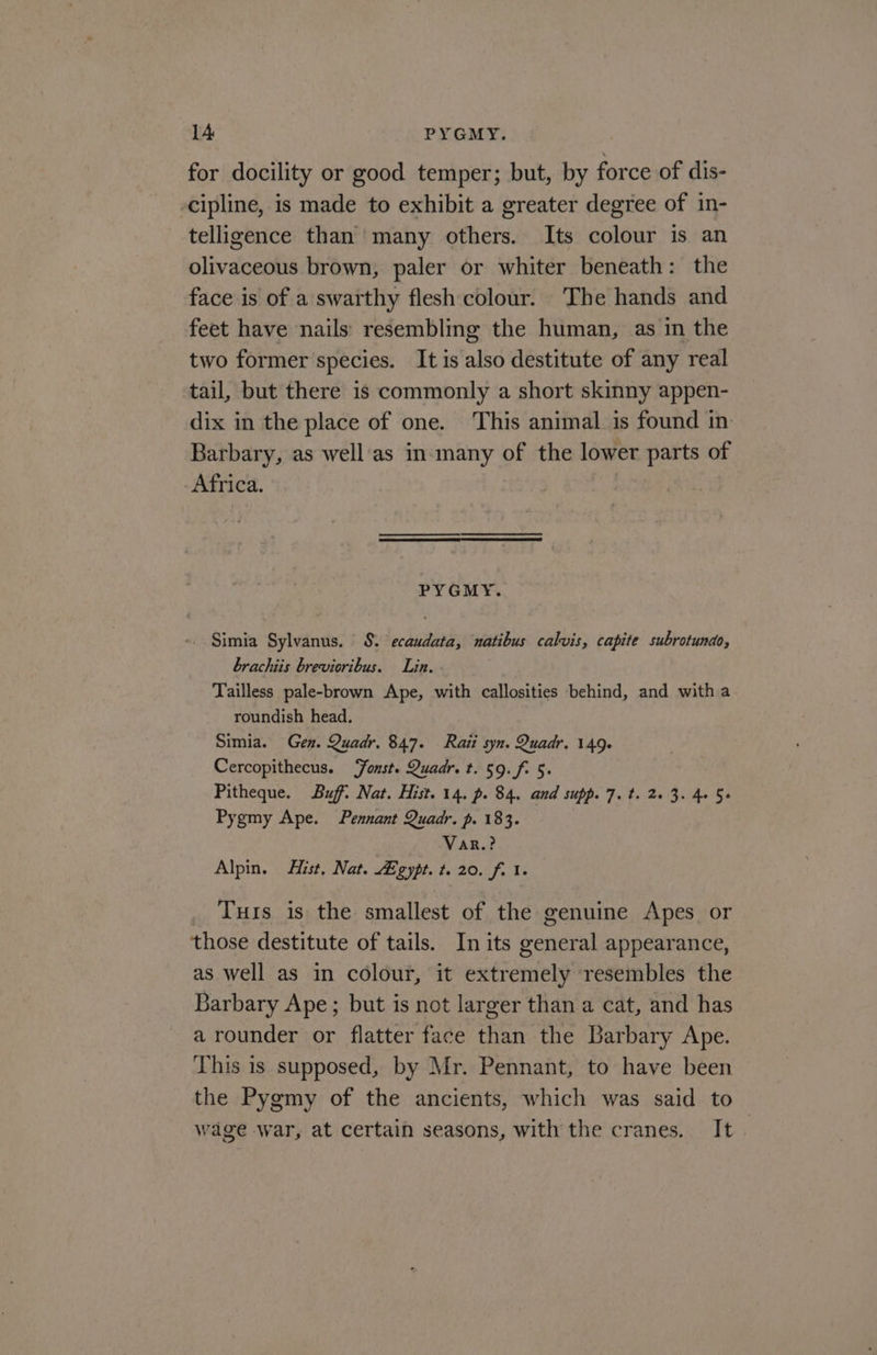 14 PYGMY. for docility or good temper; but, by force of dis- cipline, is made to exhibit a greater degree of in- telligence than many others. Its colour is an olivaceous brown, paler or whiter beneath: the face is of a swarthy flesh colour. The hands and feet have nails’ resembling the human, as in the two former species. It is also destitute of any real tail, but there is commonly a short skinny appen- dix in the place of one. This animal is found in Barbary, as well‘as in many of the lower parts of Africa. PYGMY. -. Simia Sylvanus. 8. ecaudata, natibus calvis, capite subrotundo, brachiis brevioribus. Lin. Tailless pale-brown Ape, with callosities behind, and witha roundish head. Simia. Gen. Quadr. 847. Raii syn. Quadr. 149. Cercopithecus. Yonst. Quadr. t. 59. f. 5. Pitheque. Buff. Nat. Hist. 14. p. 84. and supp. 7. t. 2. 3. 4+ 5+ Pygmy Ape. Pennant Quadr. p. 183. VaR.? Alpin. Hist, Nat. egypt. t. 20. f. 1. Tus is the smallest of the genuine Apes or those destitute of tails. In its general appearance, as well as in colour, it extremely resembles the Barbary Ape; but is not larger than a cat, and has a rounder or flatter face than the Barbary Ape. This is supposed, by Mr. Pennant, to have been the Pygmy of the ancients, which was said to wage war, at certain seasons, with the cranes. It |