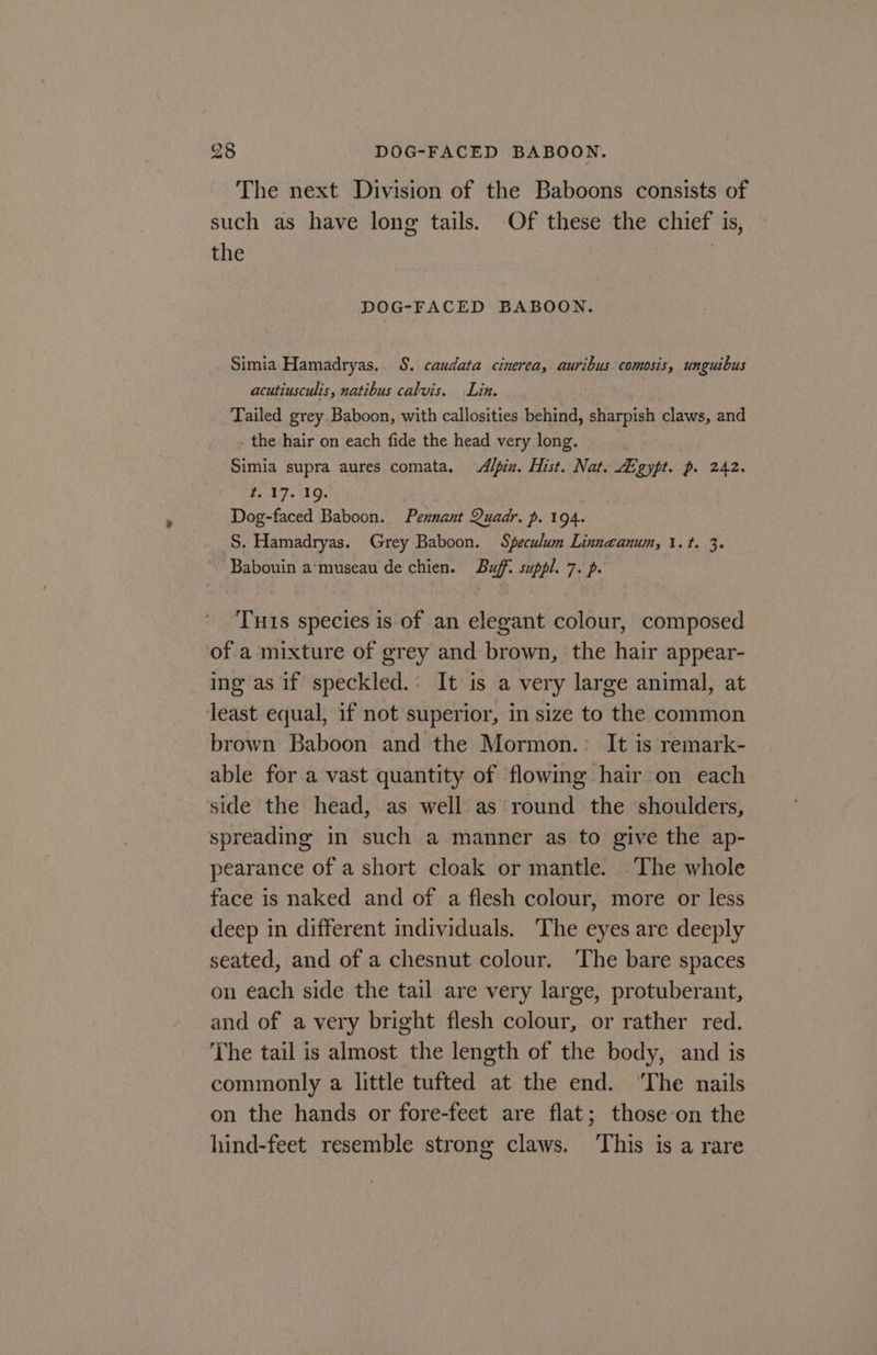 98 DOG-FACED BABOON. The next Division of the Baboons consists of such as have long tails. Of these the chief is, the . DOG-FACED BABOON. Simia Hamadryas. S. caudata cinerea, auribus comosis, unguibus acutiusculis, natibus calvis. Lin. Tailed grey Baboon, with callosities behind, sharpish claws, and the hair on each fide the head very long. Simia supra aures comata. Alpin. Hist. Nat. egypt. p. 242. t. 17. 19. | Dog-faced Baboon. Pennant Quadr. p. 194. S. Hamadryas. Grey Baboon. Speculum Linneanum, \.t. 3. Babouin a‘museau de chien. Buff. suppl. 7. p. TuIs species is of an elegant colour, composed of a mixture of grey and brown, the hair appear- ing as if speckled.: It is a very large animal, at least equal, if not superior, in size to the common brown Baboon and the Mormon.: It is remark- able for a vast quantity of flowing hair on each side the head, as well as round the shoulders, spreading in such a manner as to give the ap- pearance of a short cloak or mantle. The whole face is naked and of a flesh colour, more or less deep in different individuals. ‘The eyes are deeply seated, and of a chesnut colour. ‘The bare spaces on each side the tail are very large, protuberant, and of a very bright flesh colour, or rather red. The tail is almost the length of the body, and is commonly a little tufted at the end. ‘The nails on the hands or fore-feet are flat; those on the hind-feet resemble strong claws. ‘This is a rare