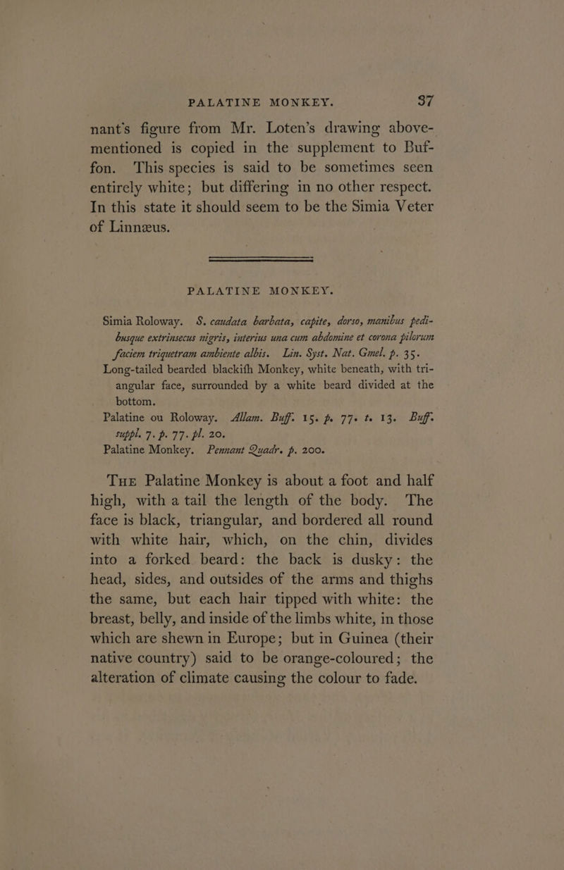 PALATINE MONKEY. $7 nant’s figure from Mr. Loten’s drawing above- mentioned is copied in the supplement to Buf- fon. This species is said to be sometimes seen entirely white; but differing in no other respect. In this state it should seem to be the Simia Veter of Linnzeus. PALATINE MONKEY. Simia Roloway. 8. caudata barbata, capite, dorso, manibus pedi- busque extrinsecus nigris, interius una cum abdomine et corona pilorum faciem triquetram ambiente albis. Lin. Syst. Nat. Gmel. p. 35. Long-tailed bearded blackifh Monkey, white beneath, with tri- angular face, surrounded by a white beard divided at the bottom. Palatine ou Roloway. Allam. Buff. 15. p. 77+ te 13. Buff. suppl. 7. p. 77. pl. 20. Palatine Monkey. Pennant Quadr. p. 200. Tue Palatine Monkey is about a foot and half high, with a tail the length of the body. The face is black, triangular, and bordered all round with white hair, which, on the chin, divides into a forked beard: the back is dusky: the head, sides, and outsides of the arms and thighs the same, but each hair tipped with white: the breast, belly, and inside of the limbs white, in those which are shewn in Europe; but in Guinea (their native country) said to be orange-coloured; the alteration of climate causing the colour to fade.